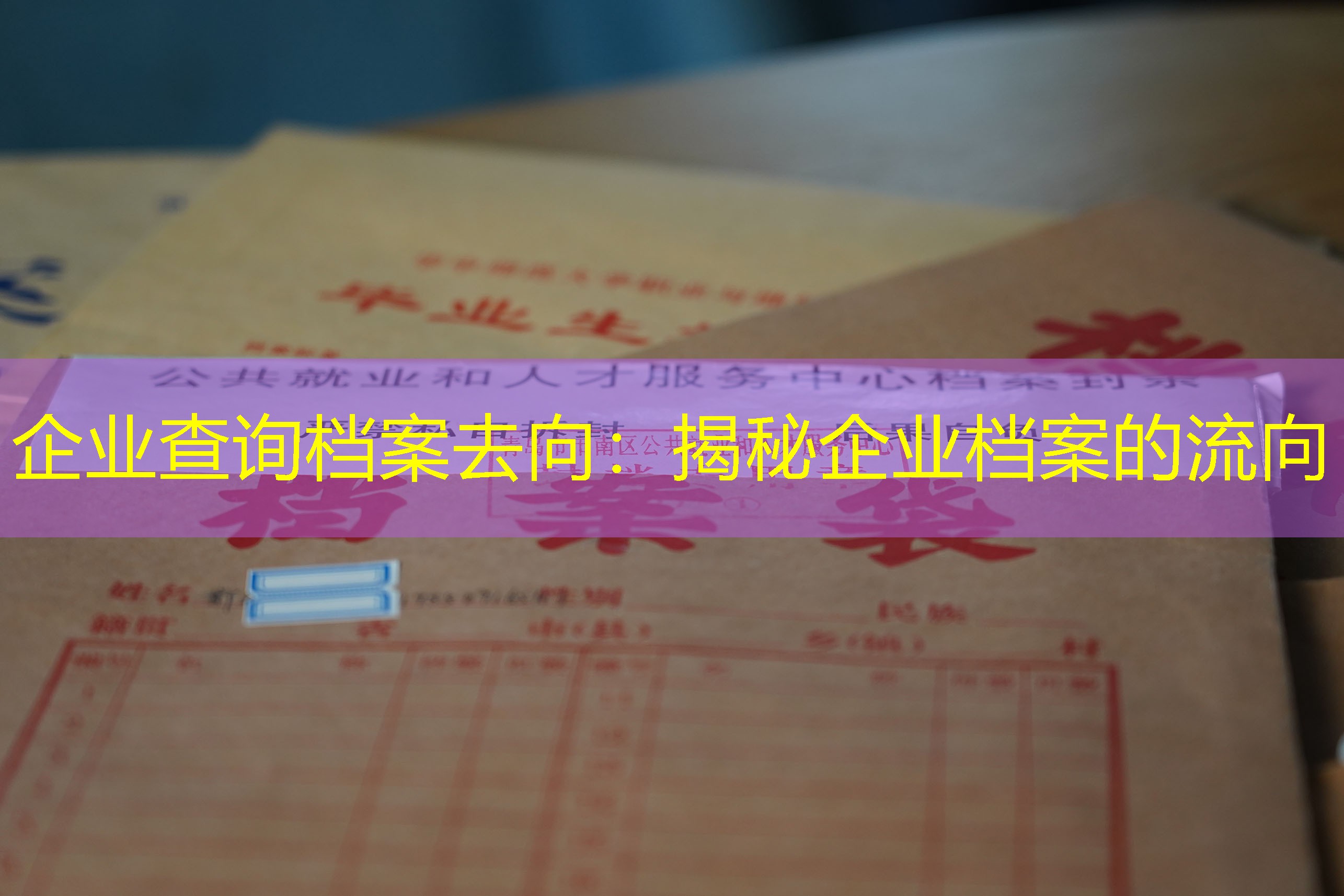档案查询