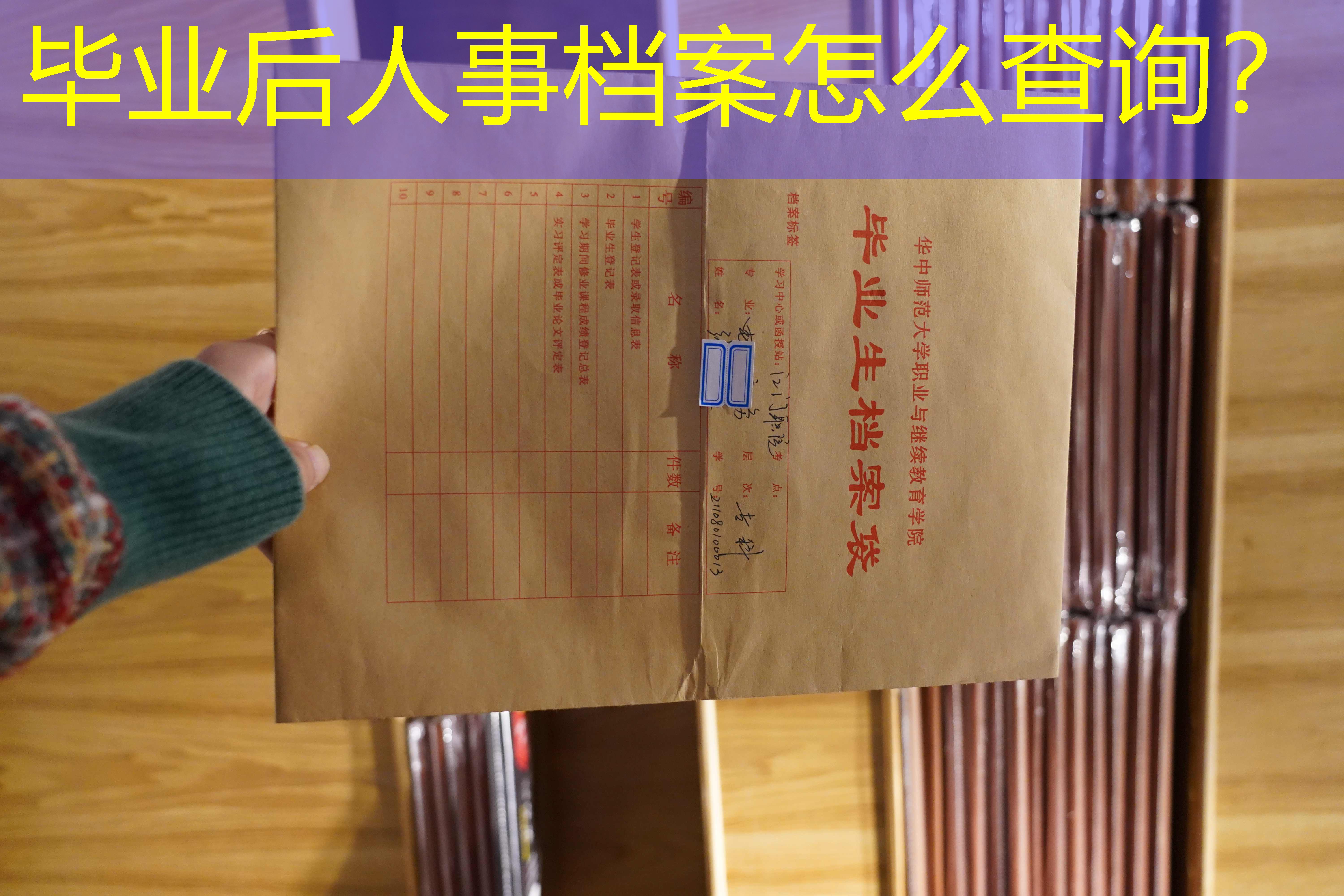 档案查询
