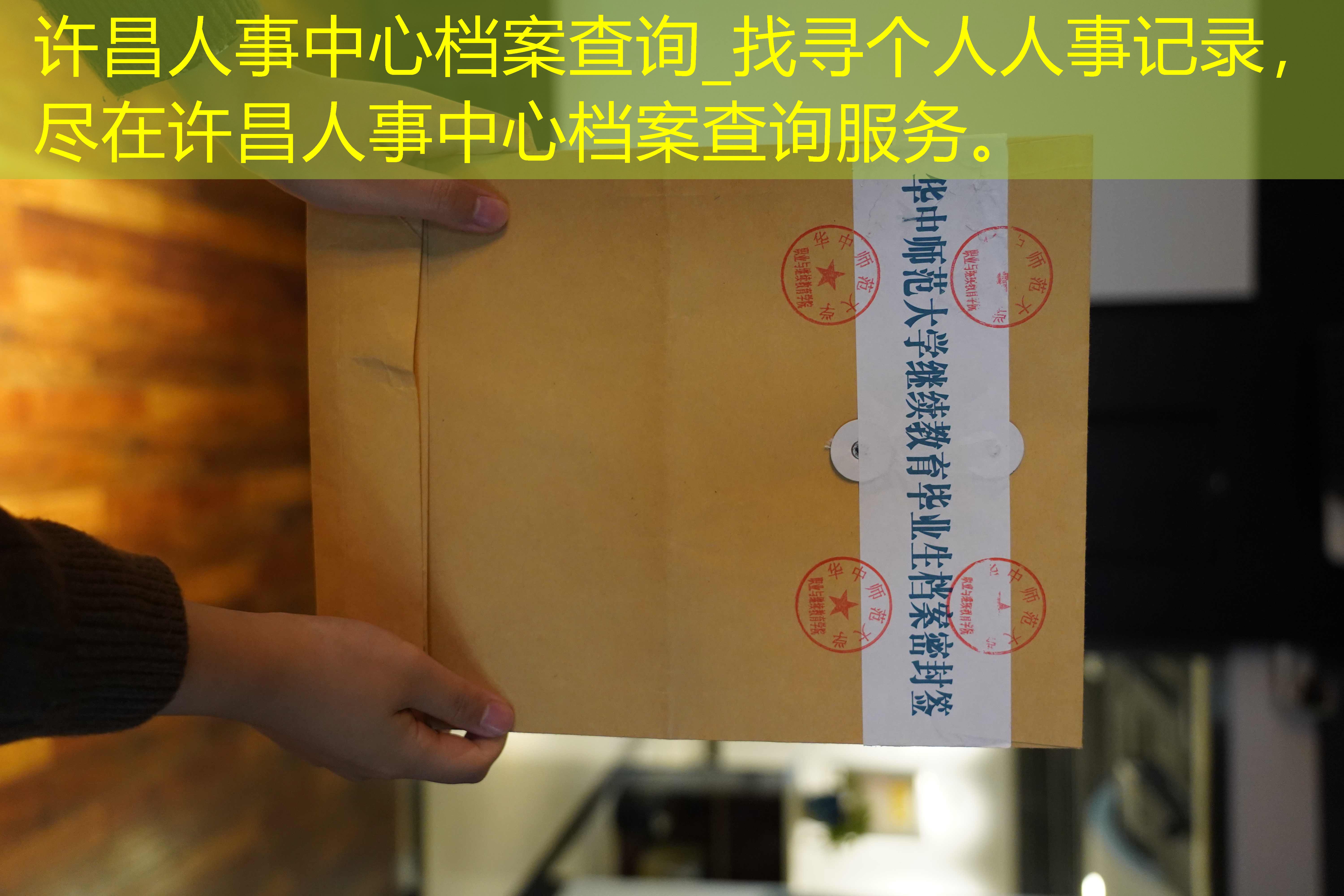 档案查询