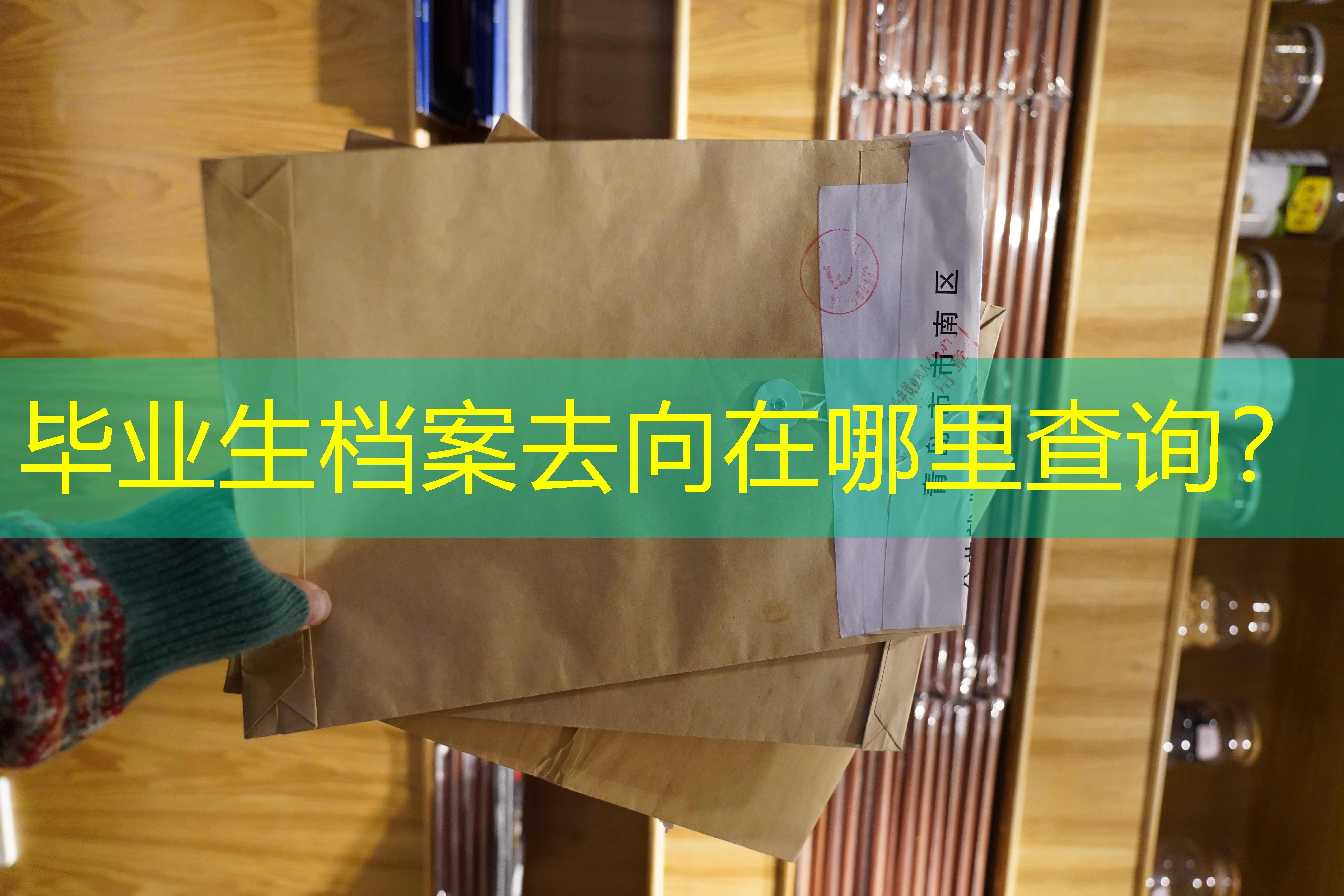 档案查询