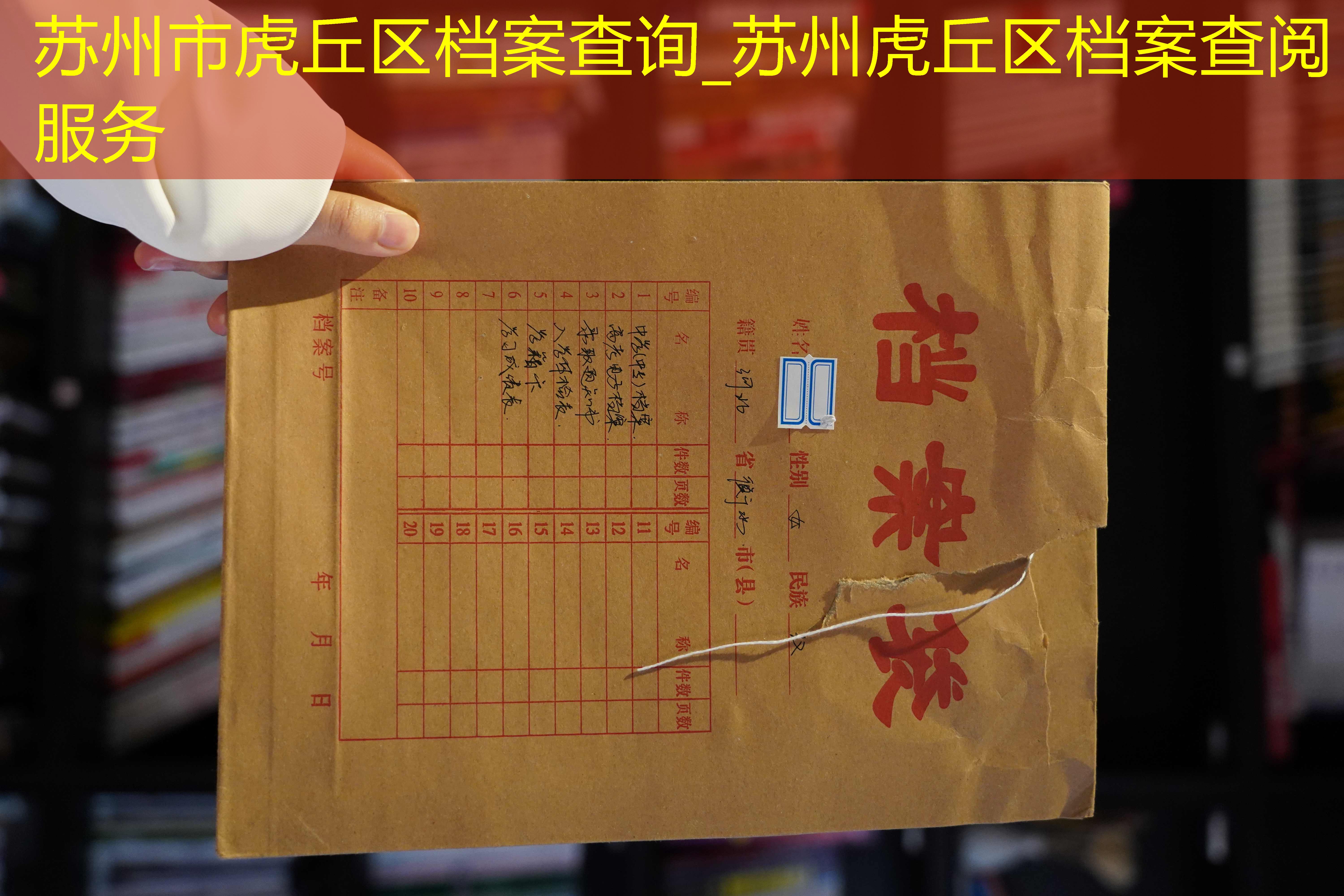 档案查询