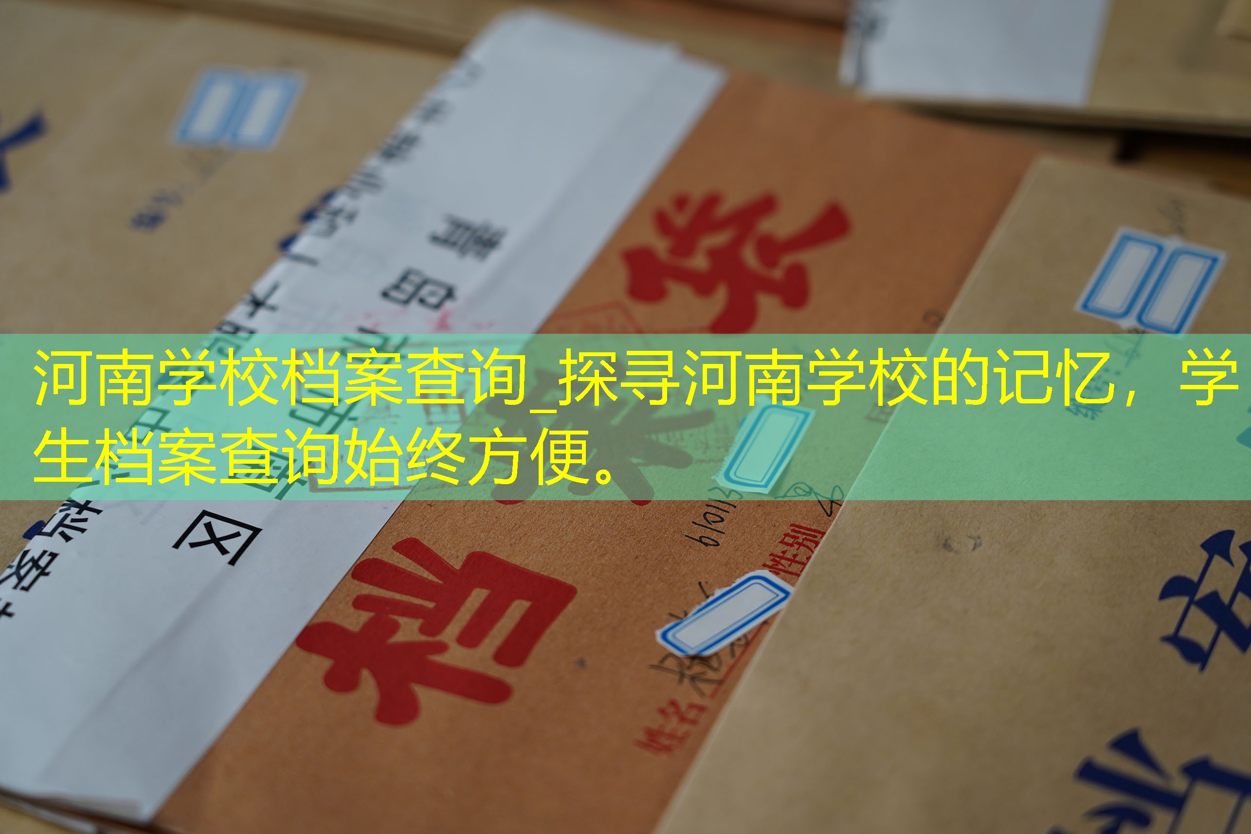 档案查询