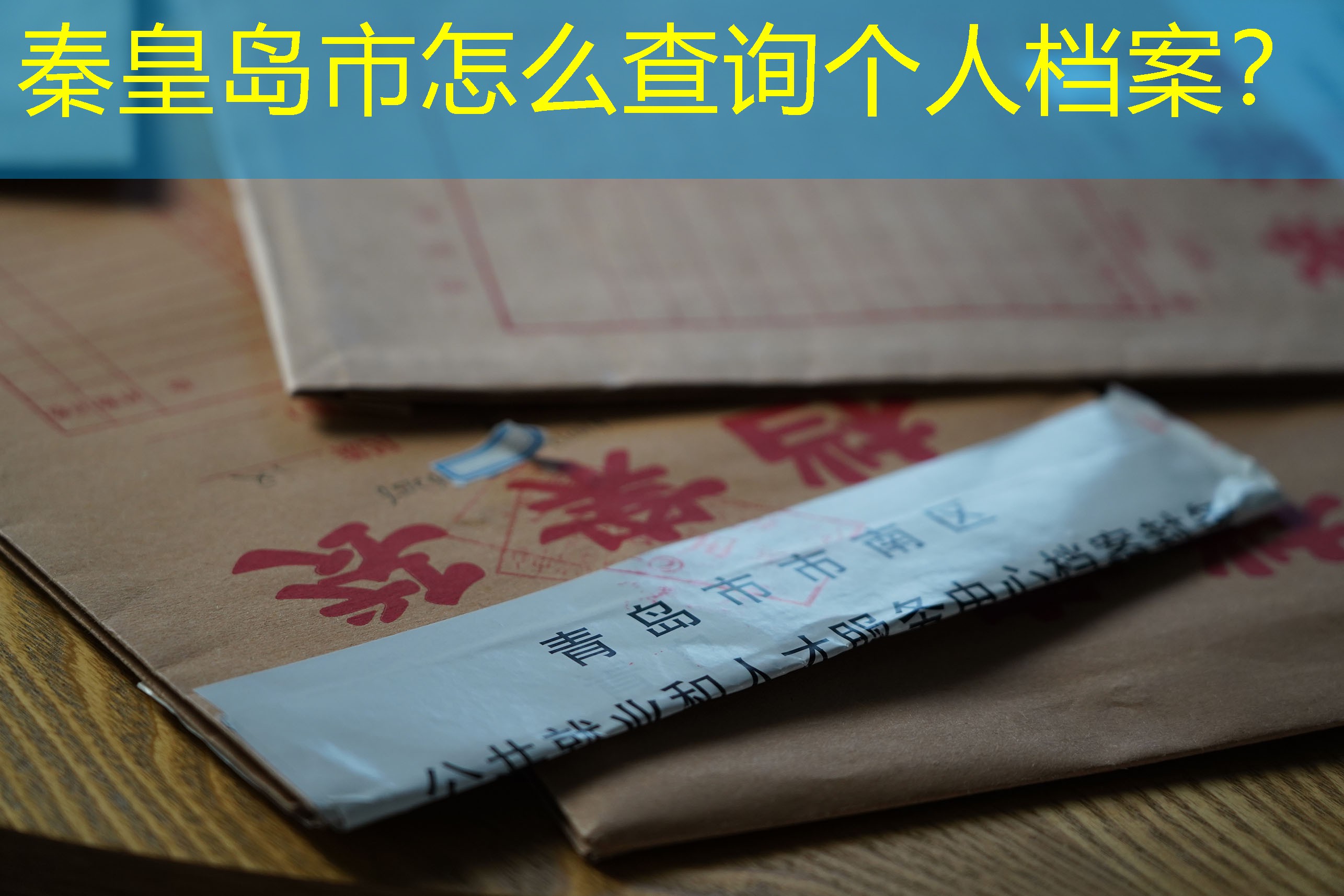 档案查询