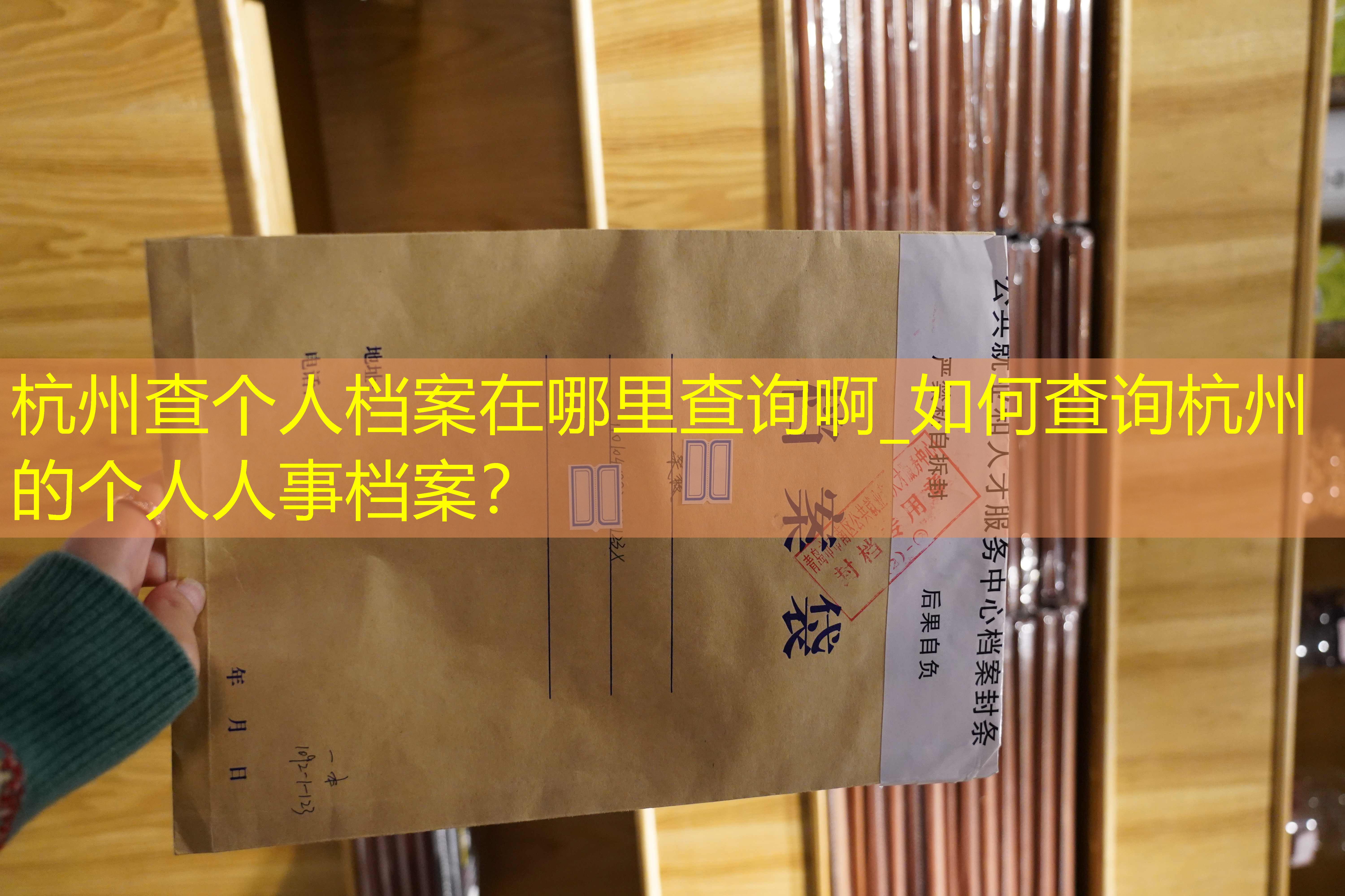 档案查询