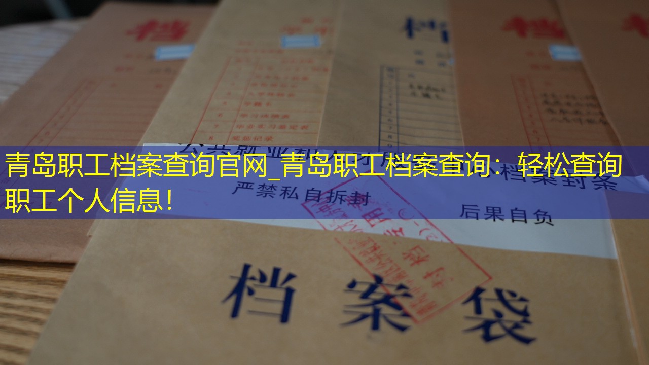 档案查询