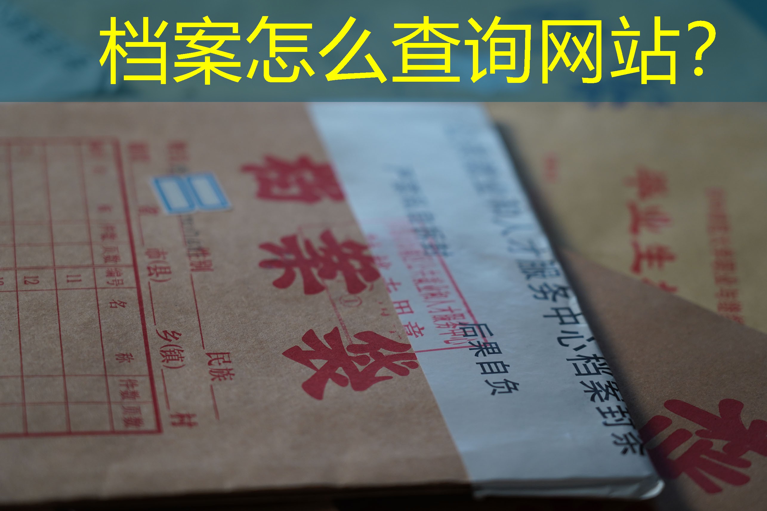 档案查询