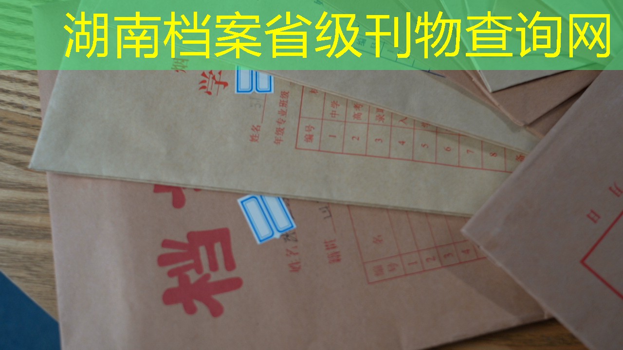 档案查询