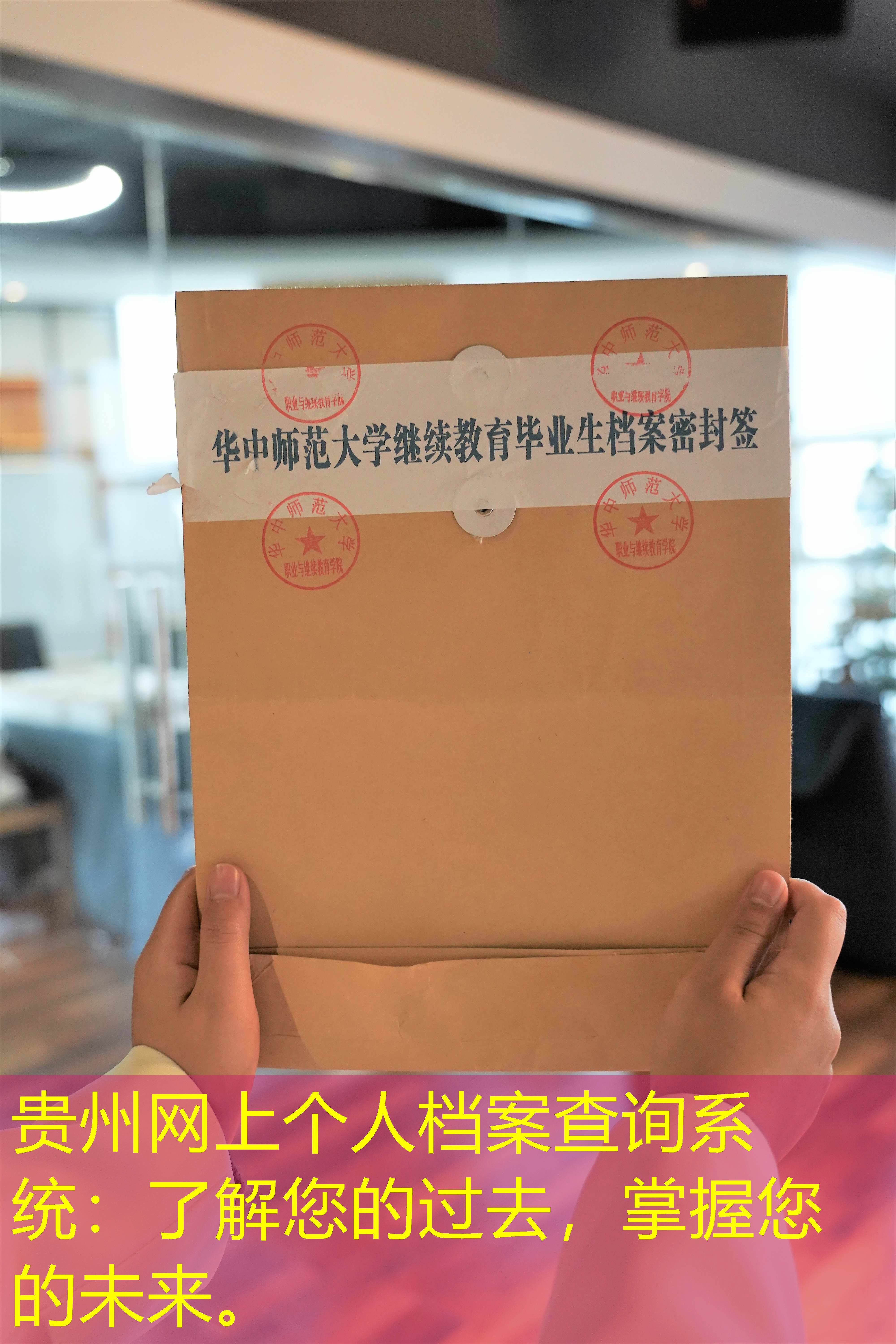 档案查询