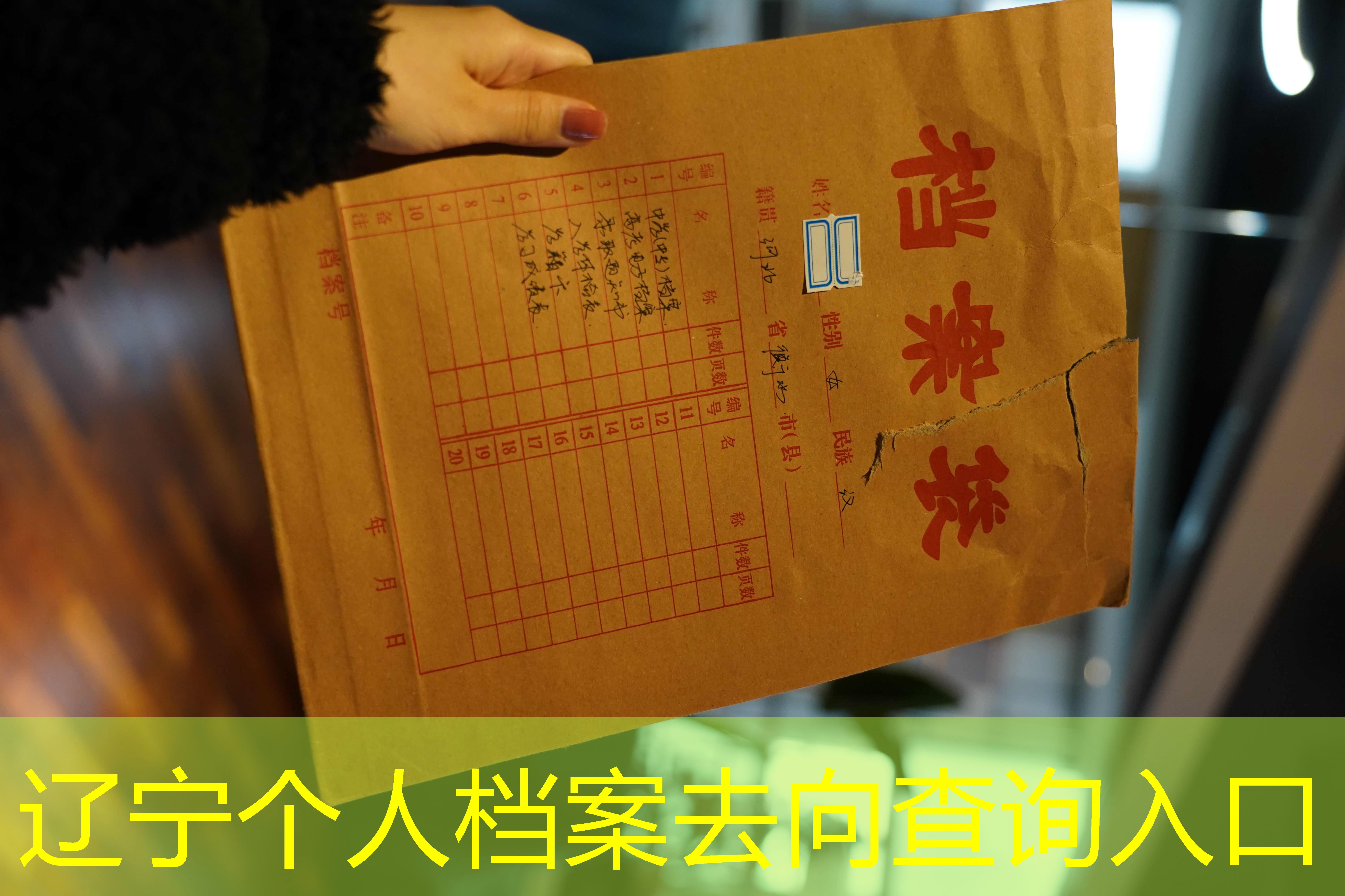 档案查询