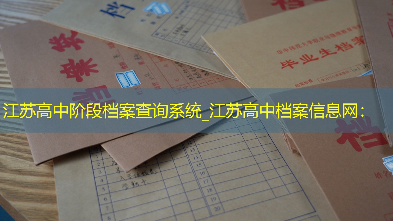 档案查询