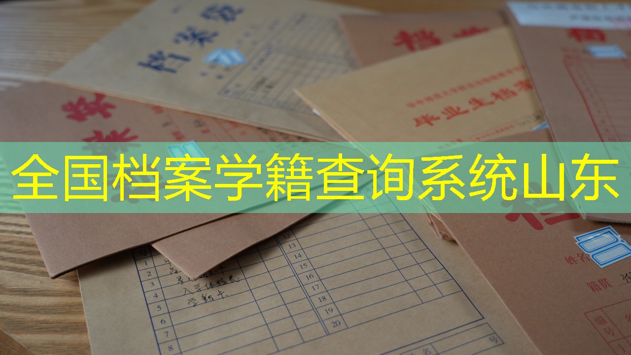 档案查询