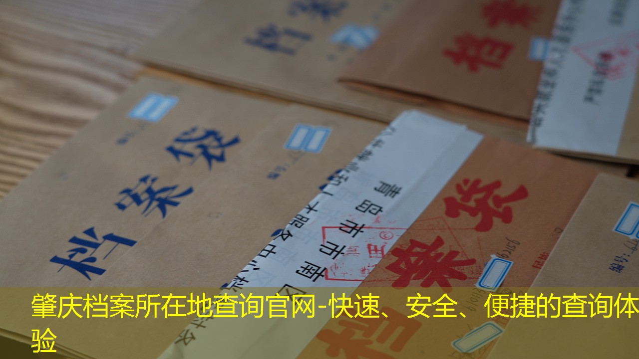 档案查询