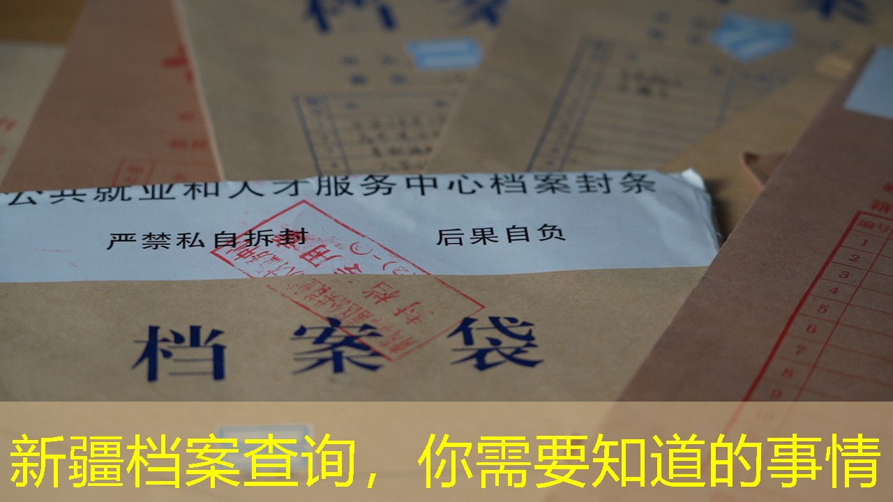 档案查询