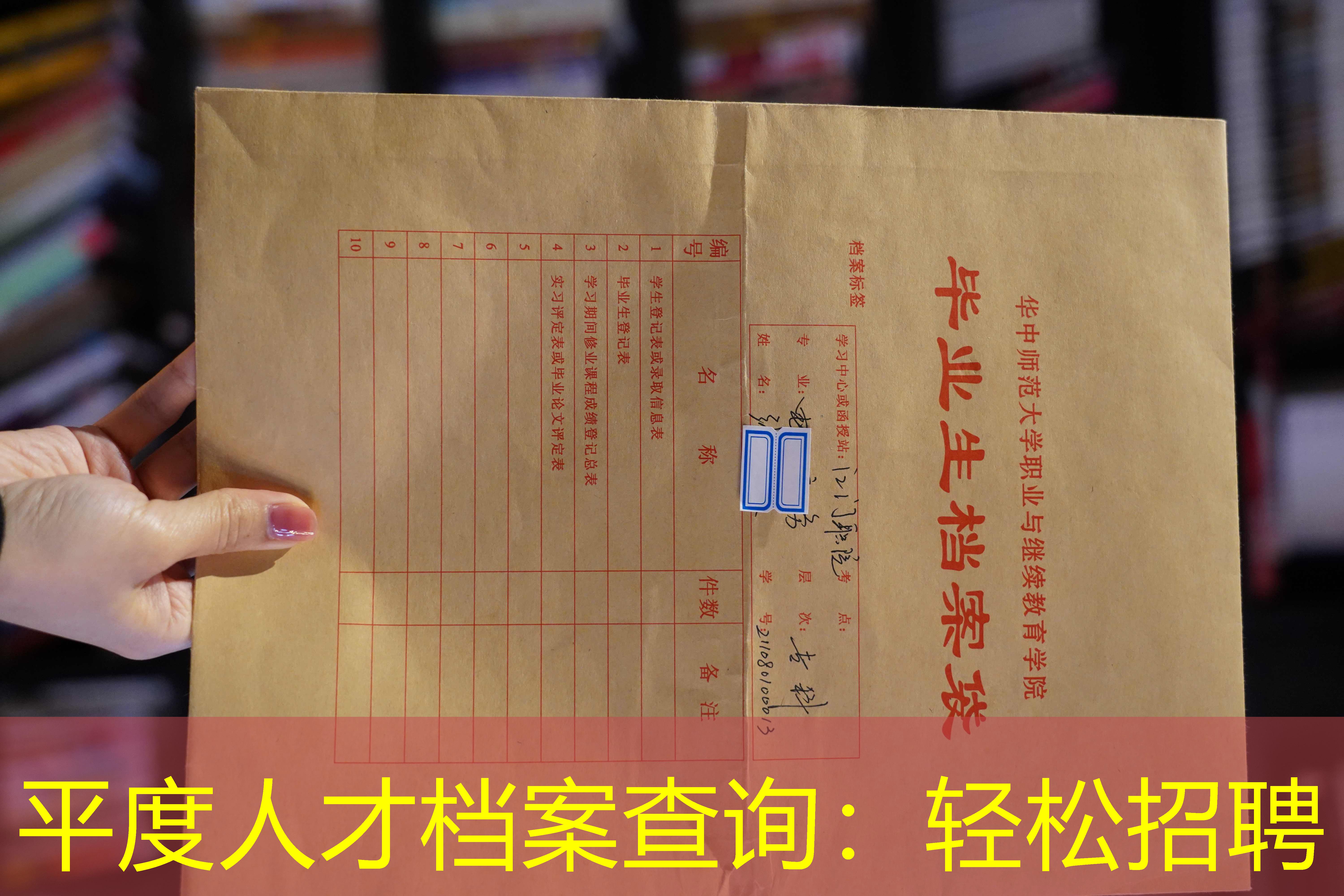 档案查询