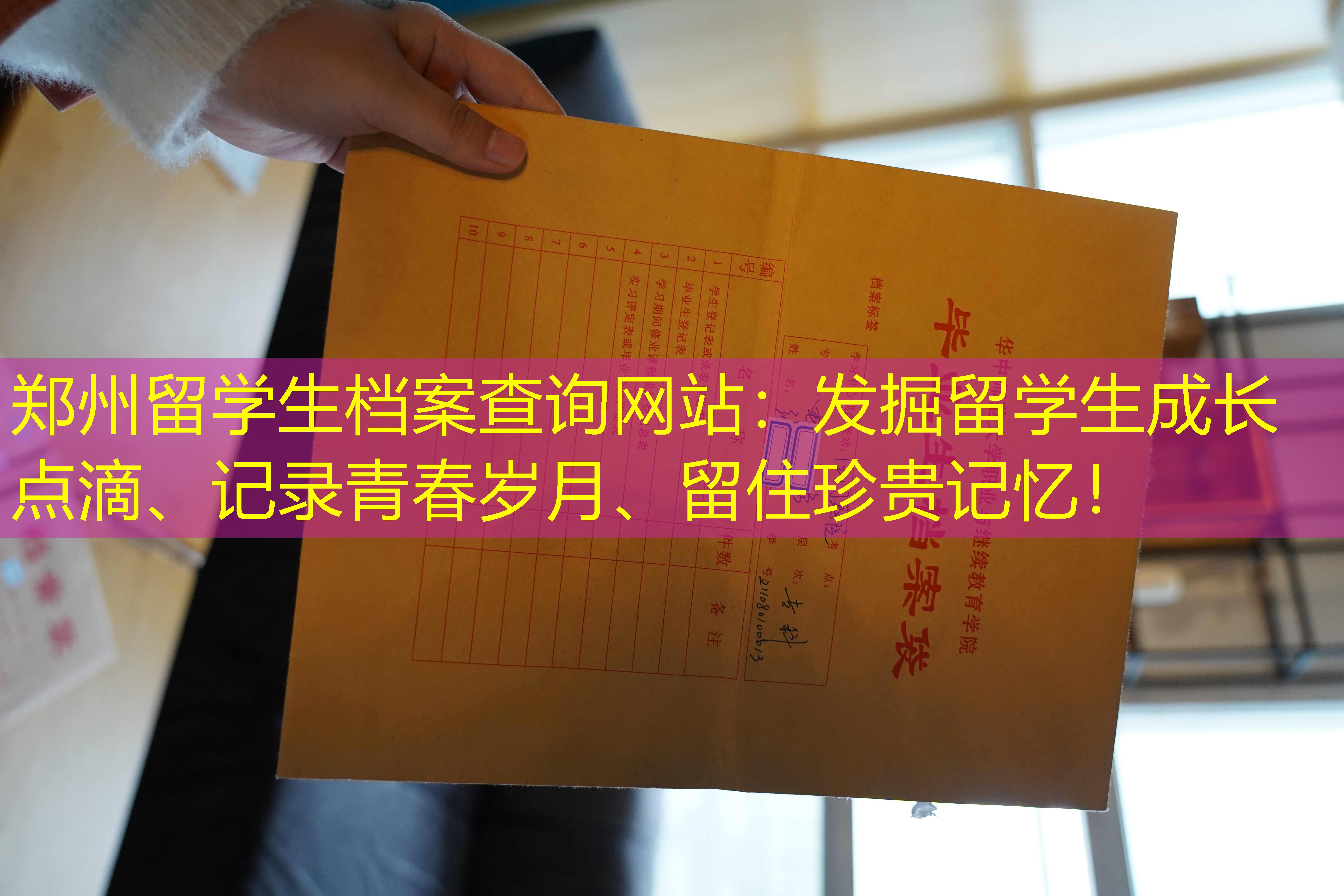 档案查询