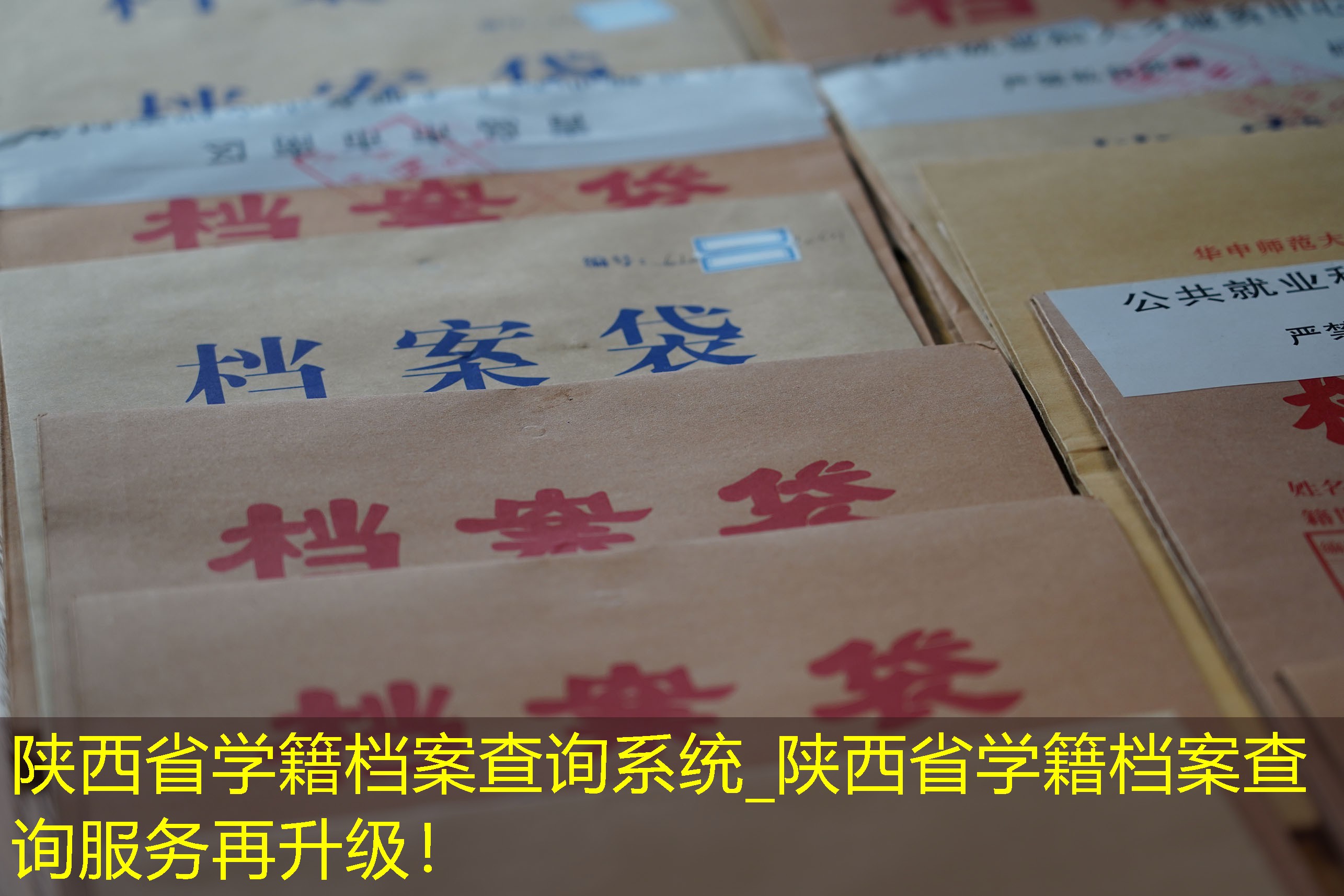 档案查询
