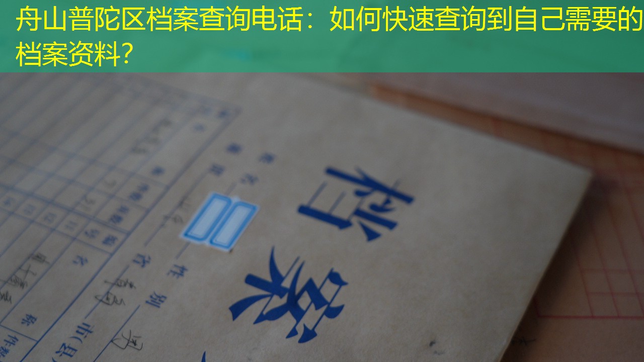 档案查询