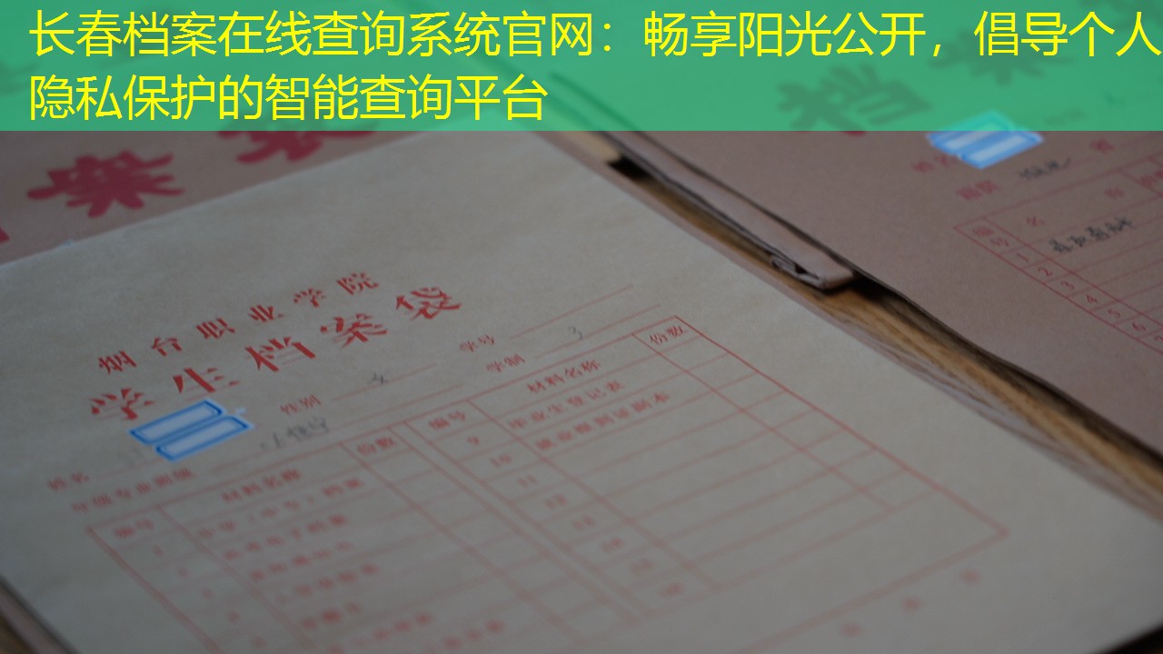 档案查询