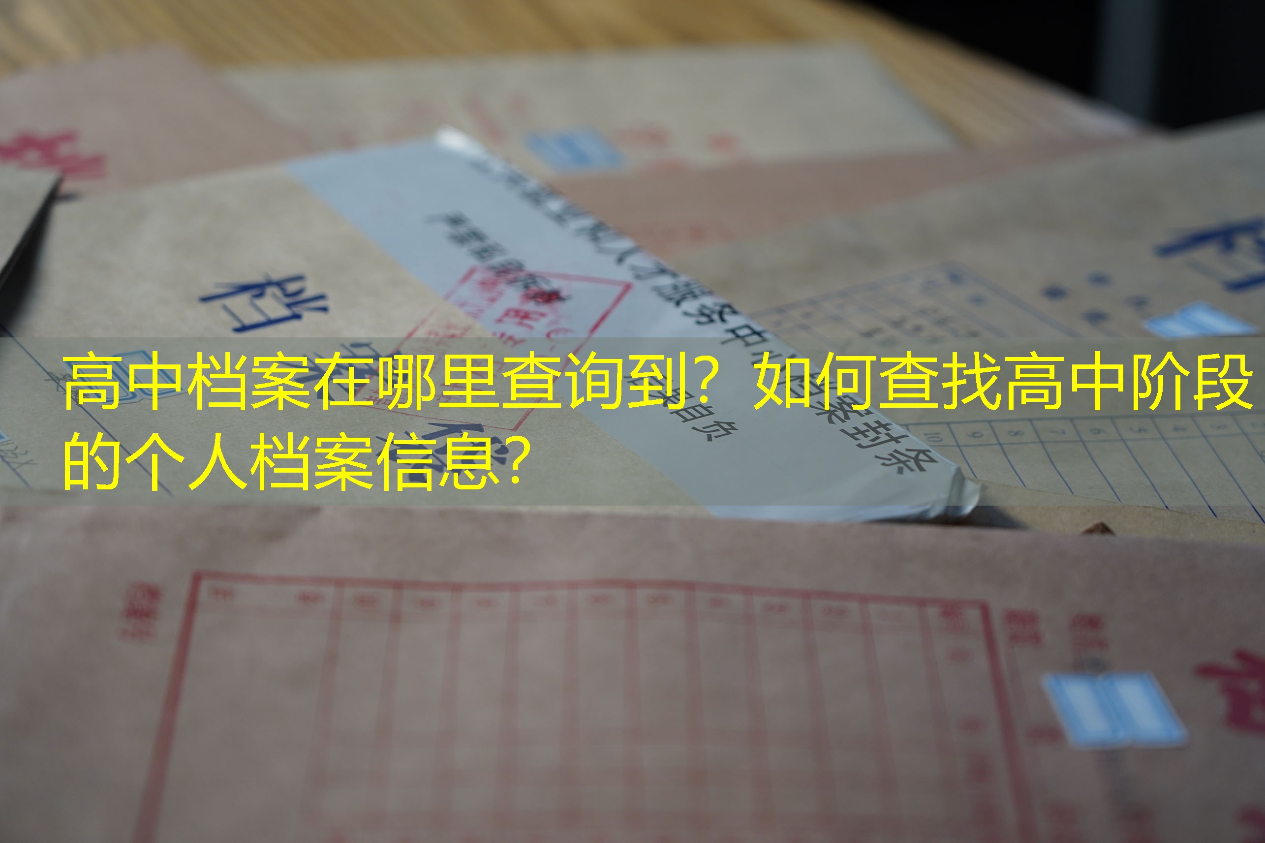 档案查询