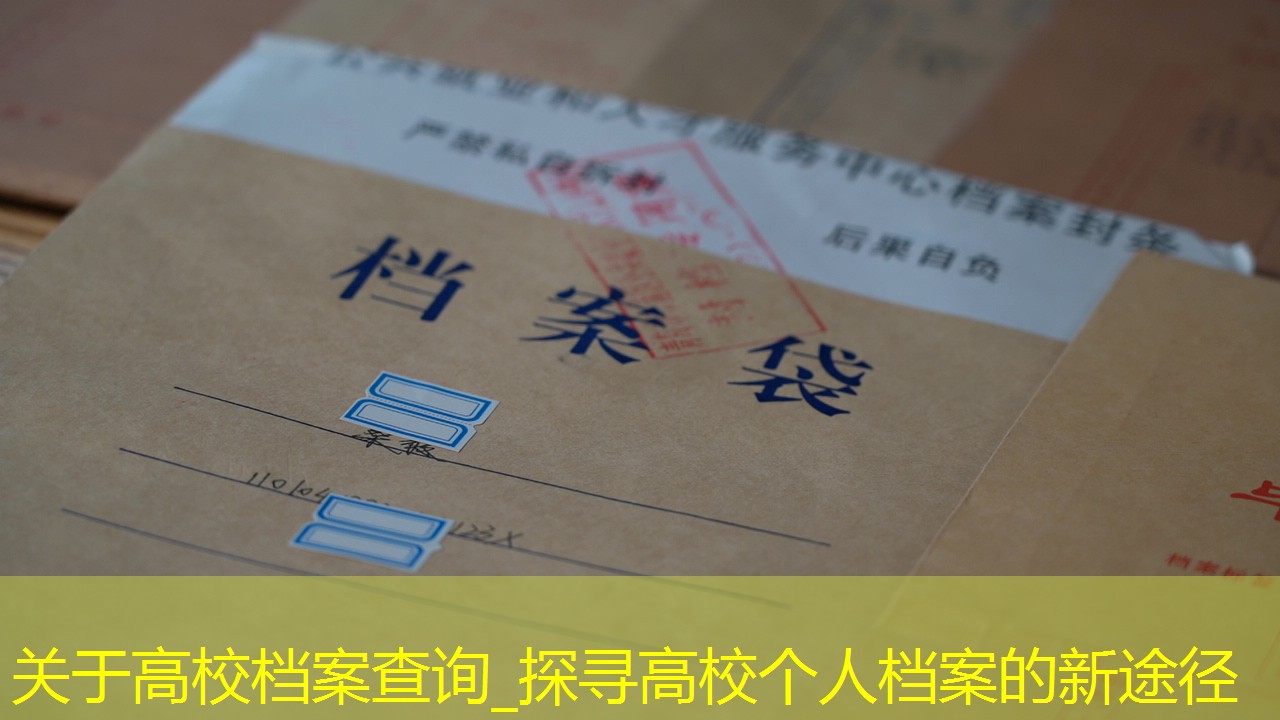 档案查询