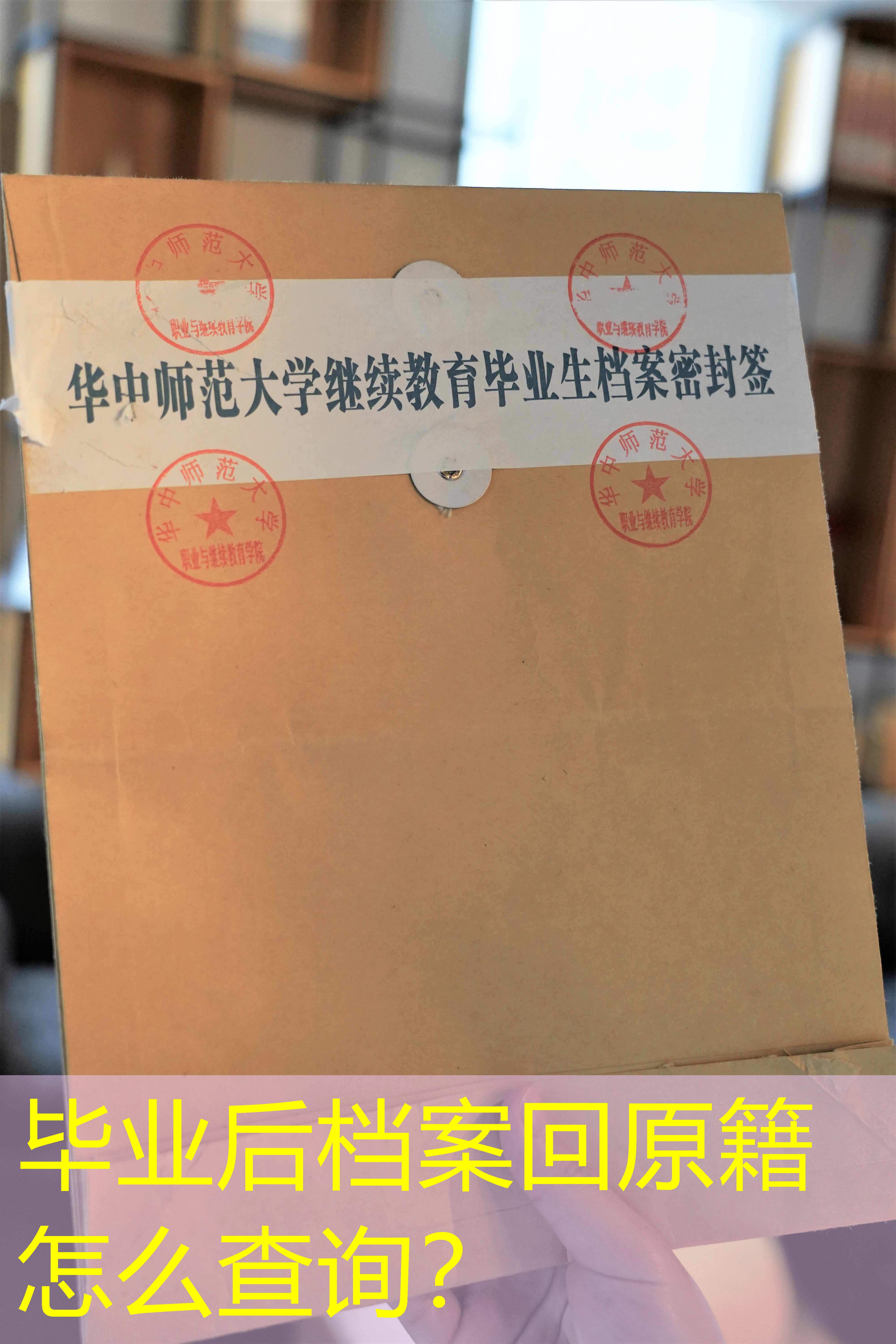 档案查询