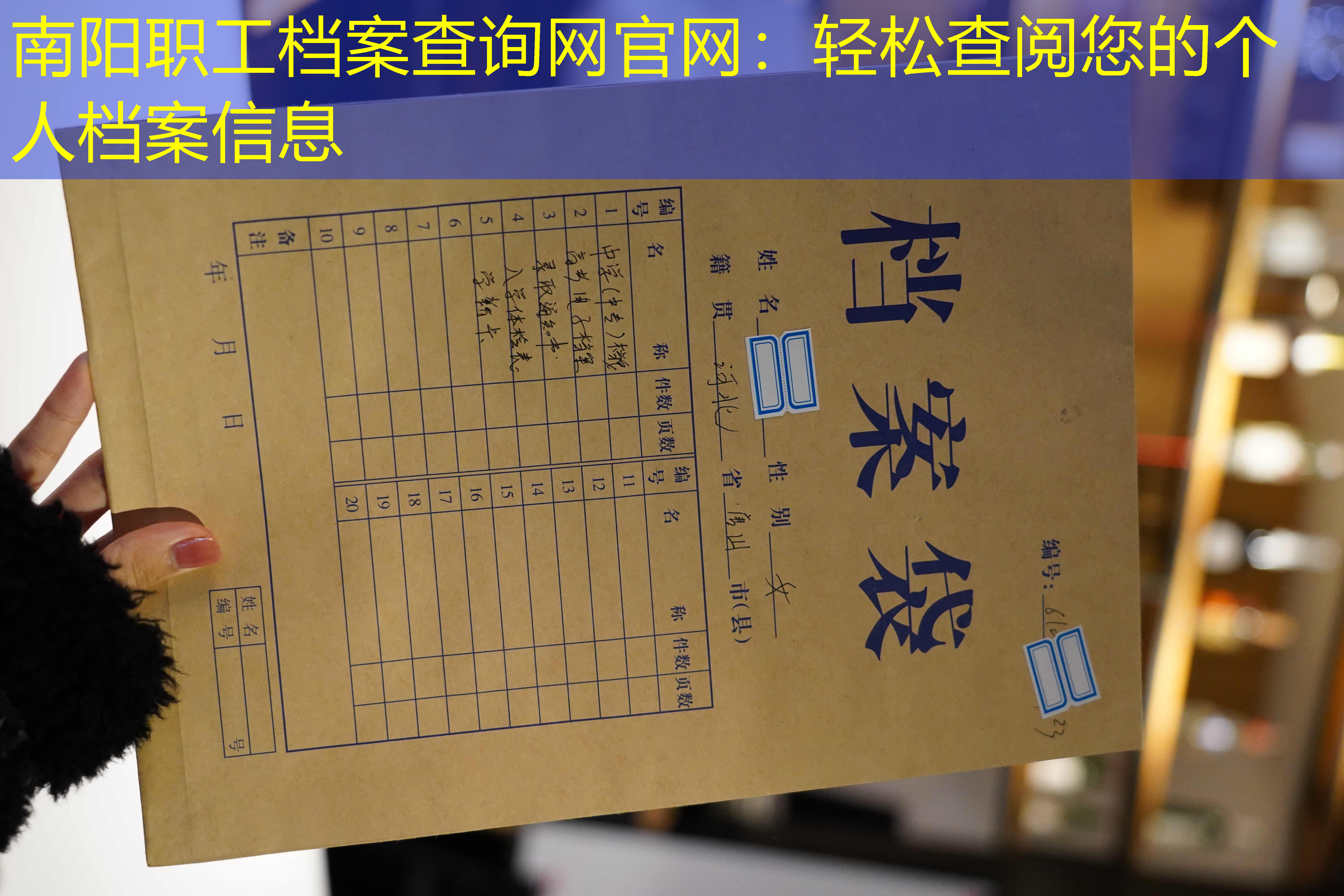 档案查询
