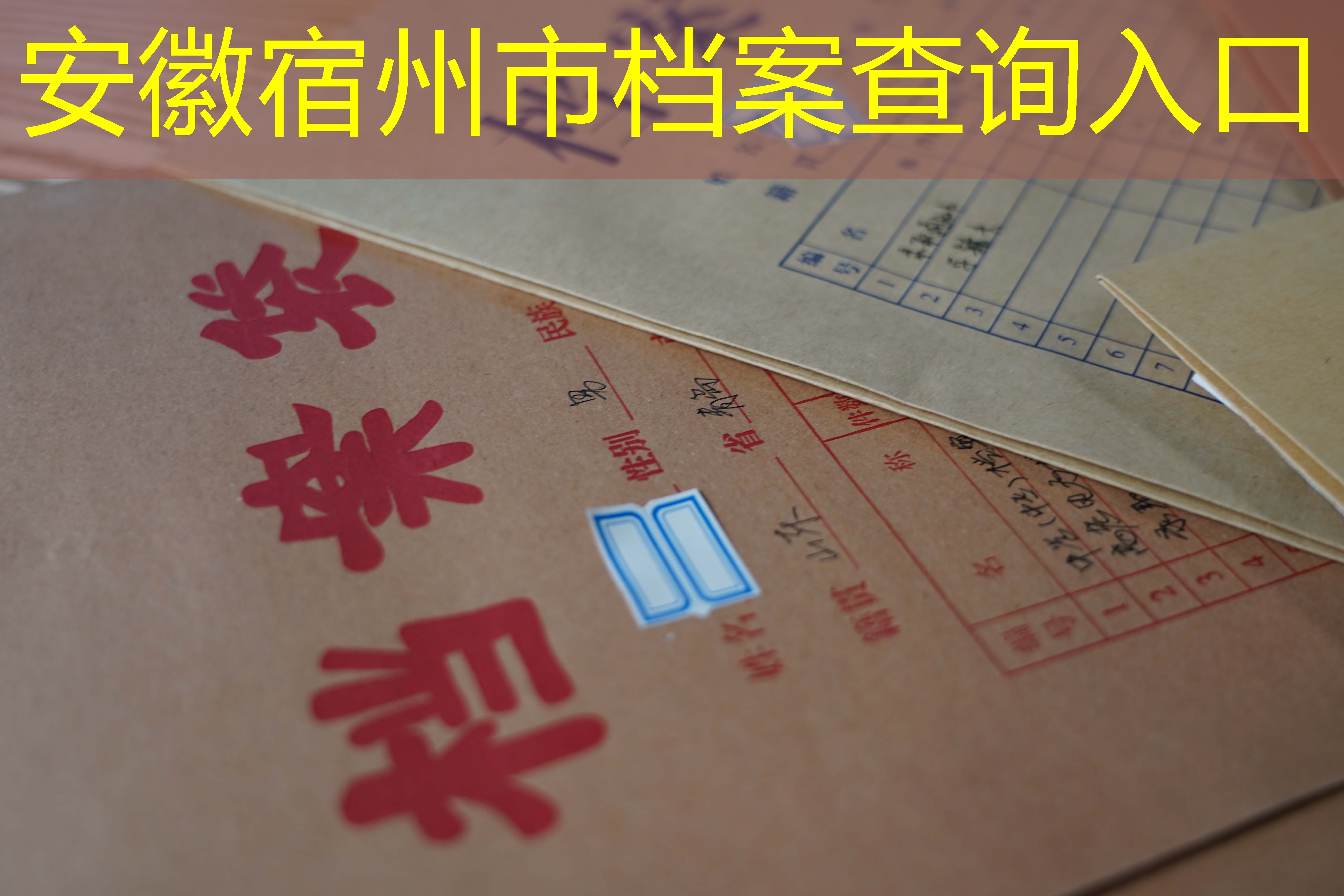 档案查询