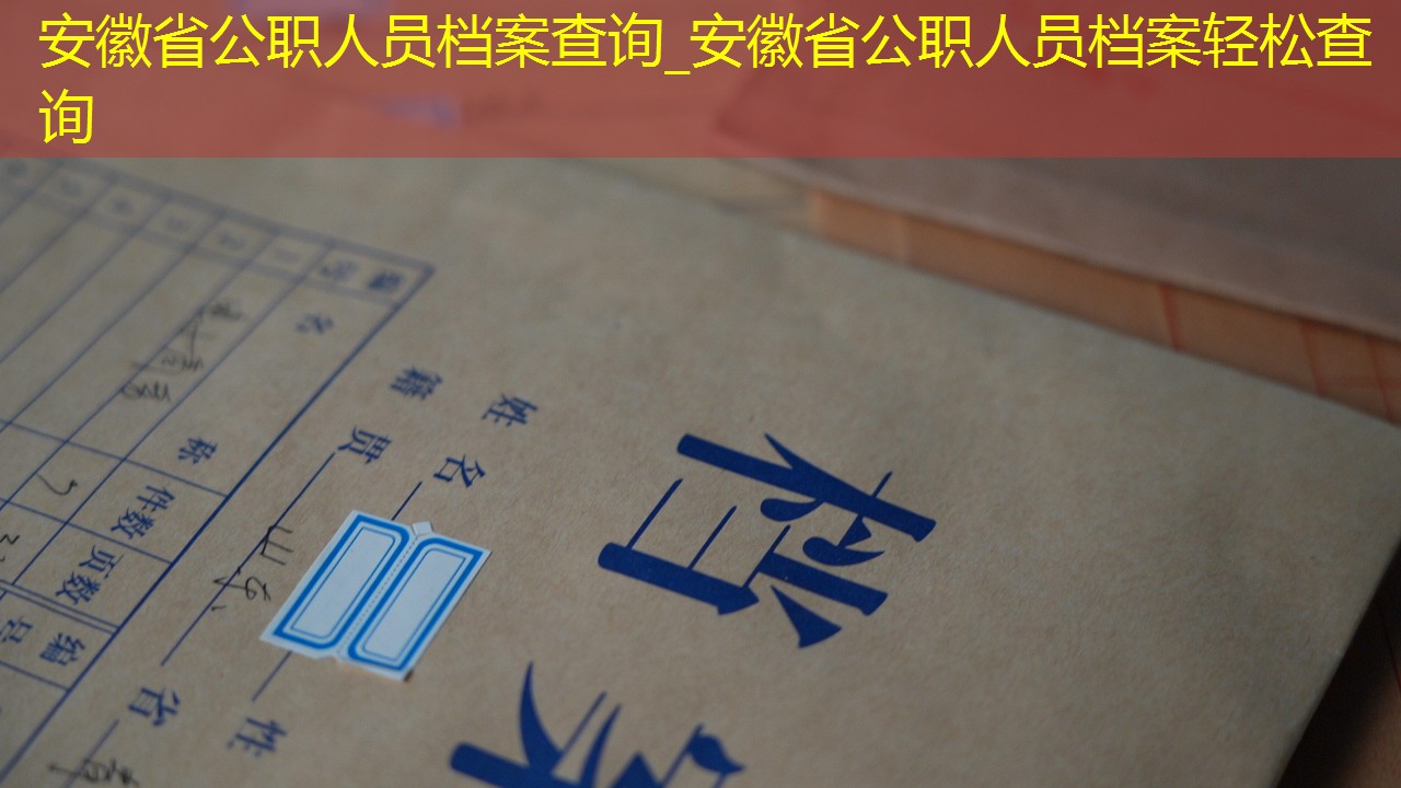 档案查询