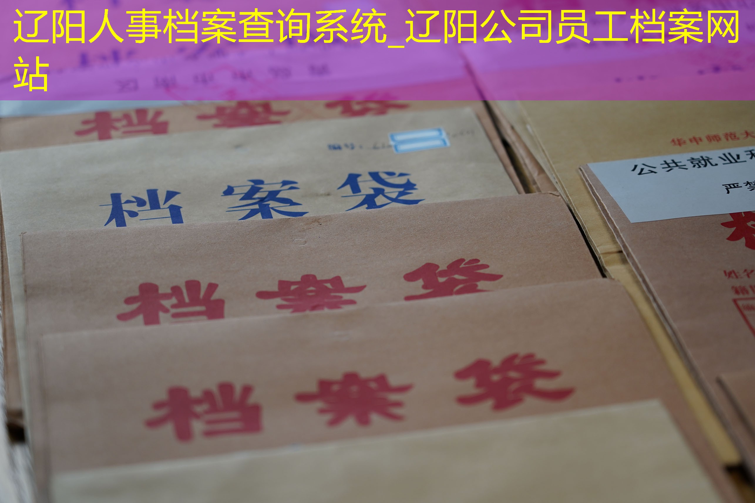 档案查询