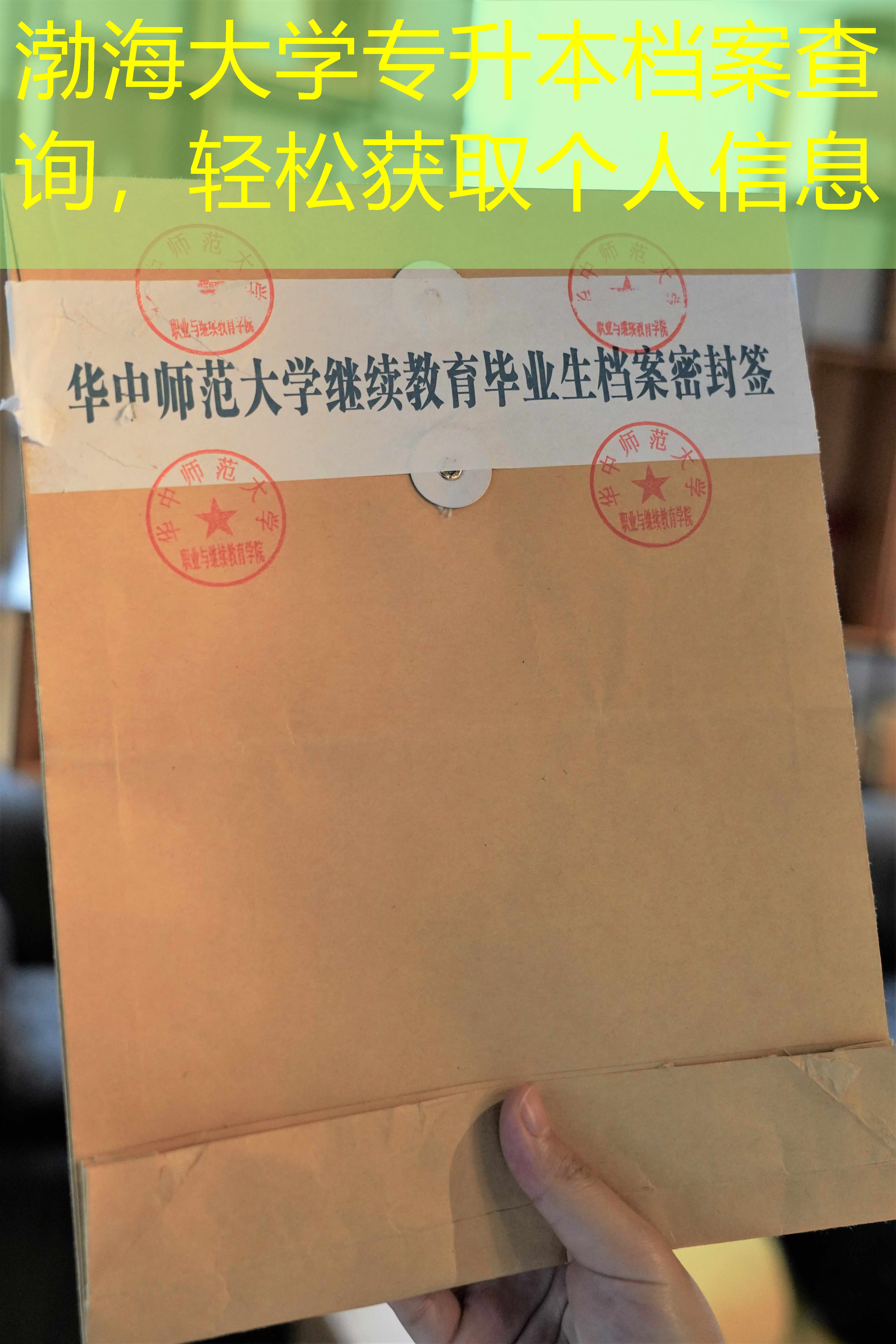 档案查询