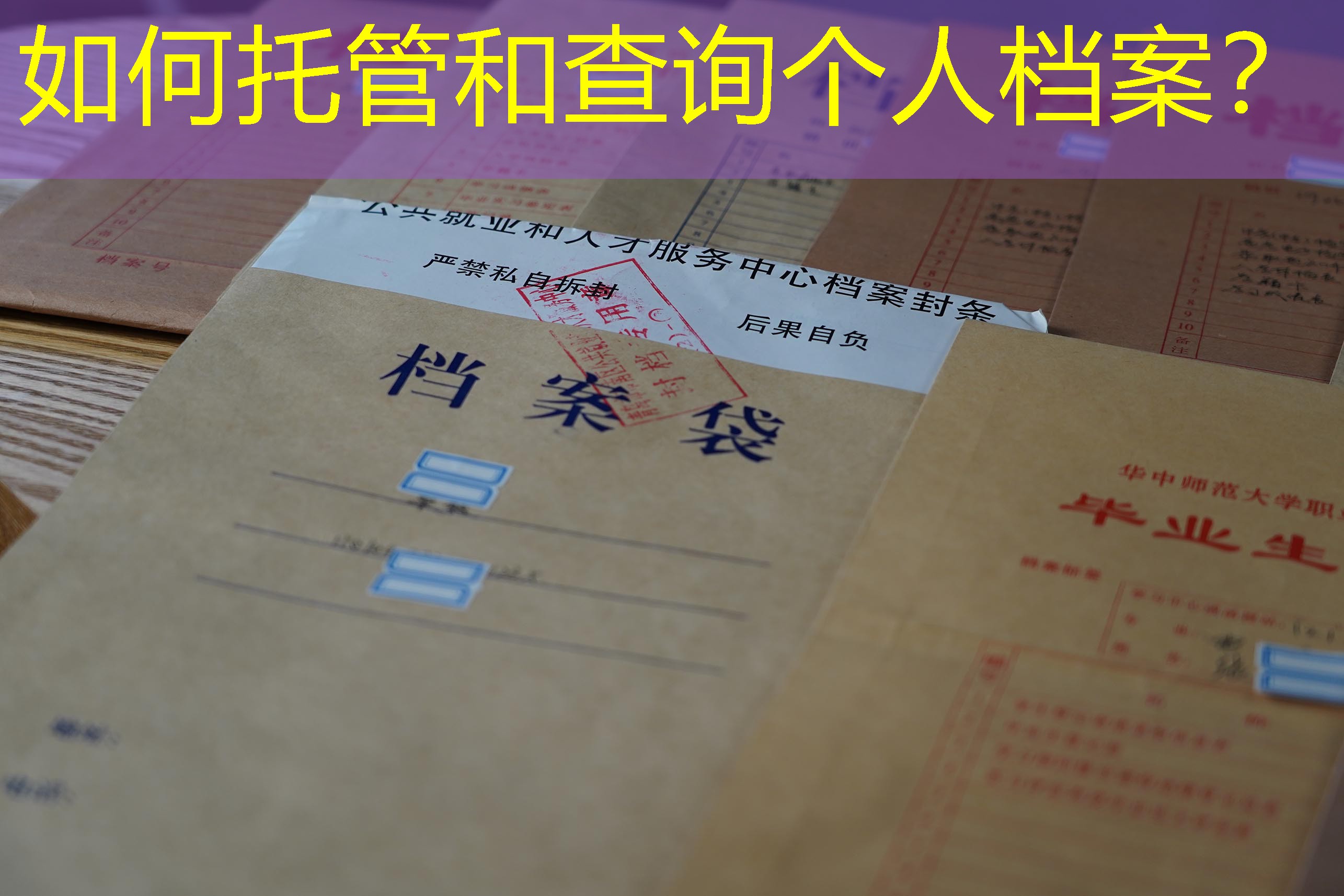 档案查询