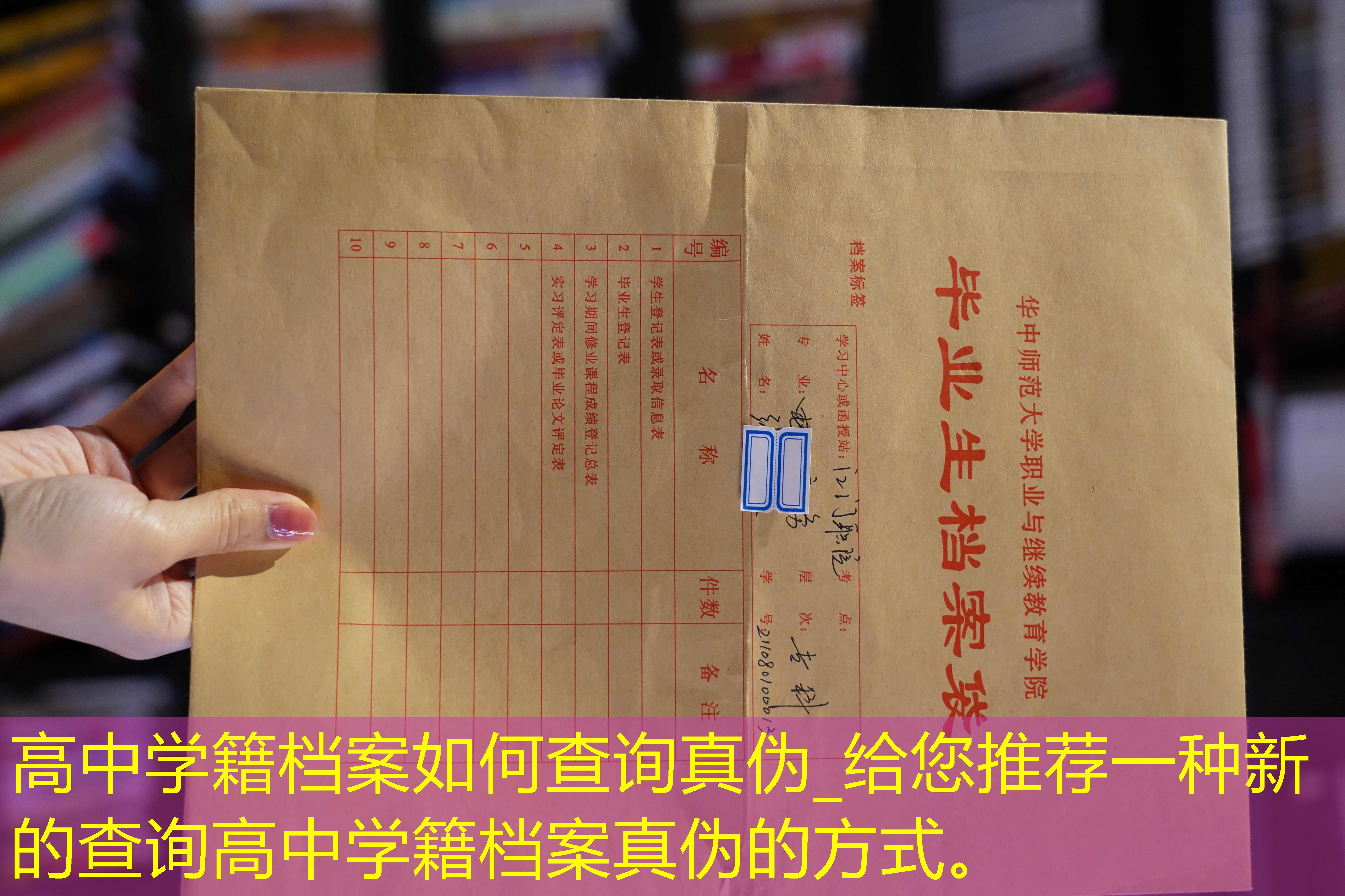 档案查询