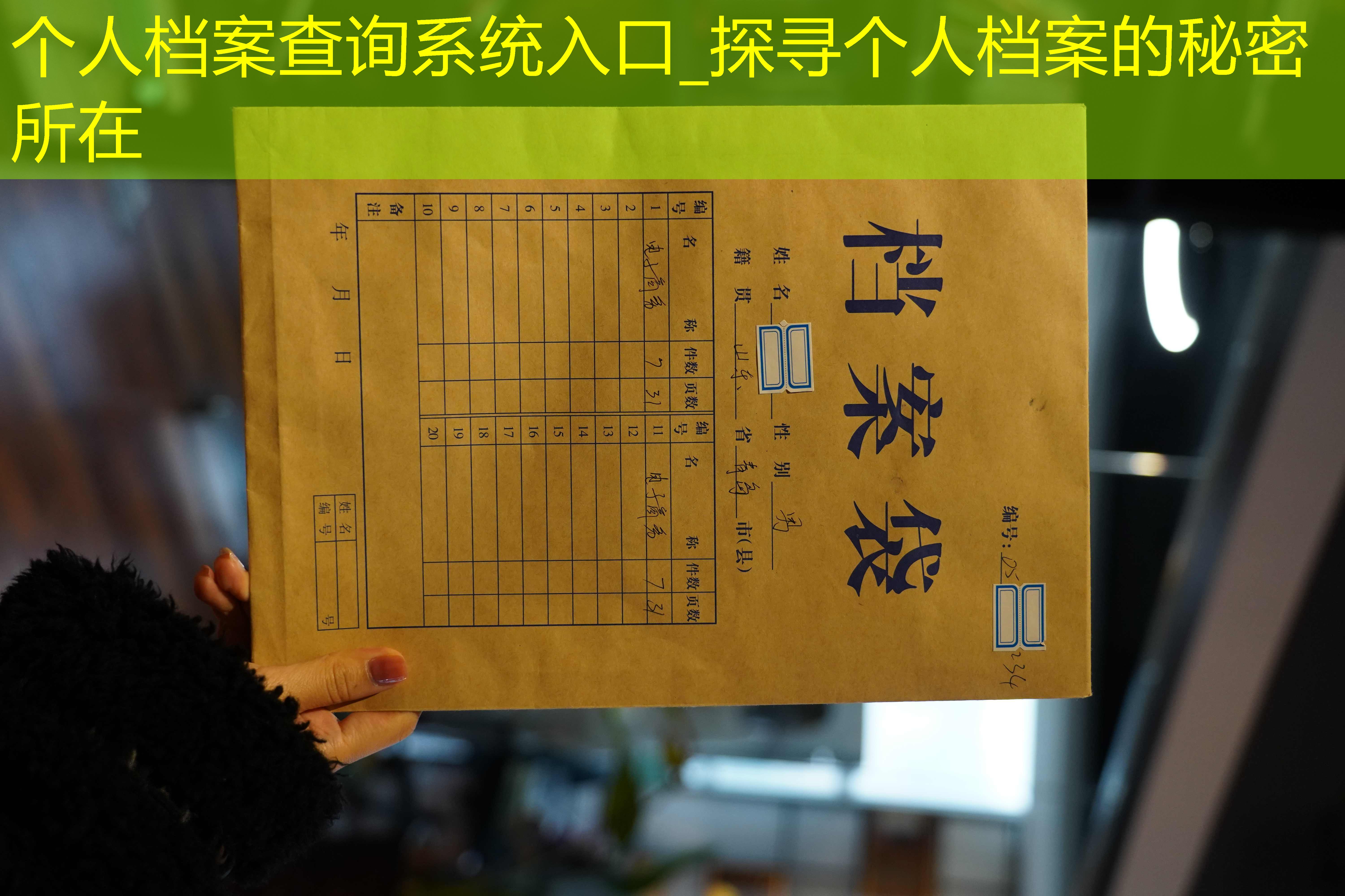 档案查询