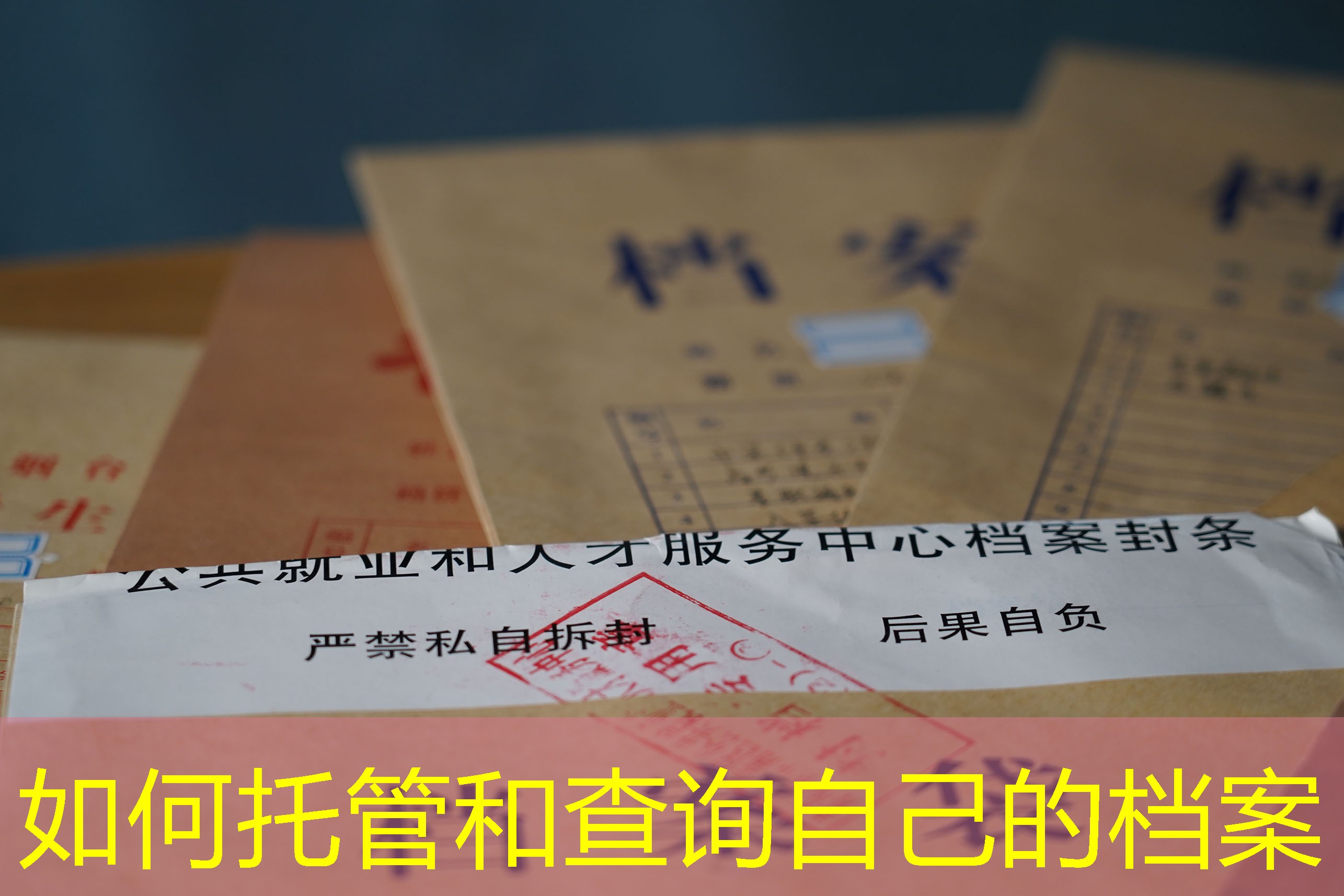 档案查询
