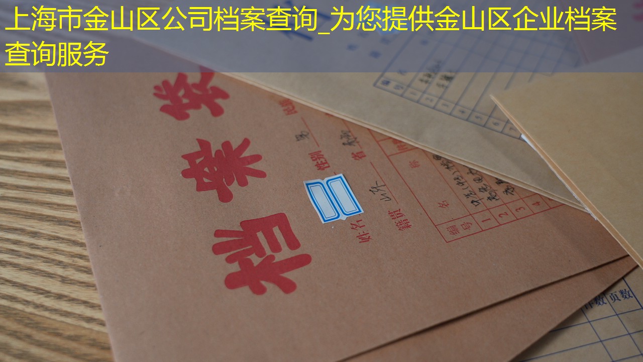 档案查询