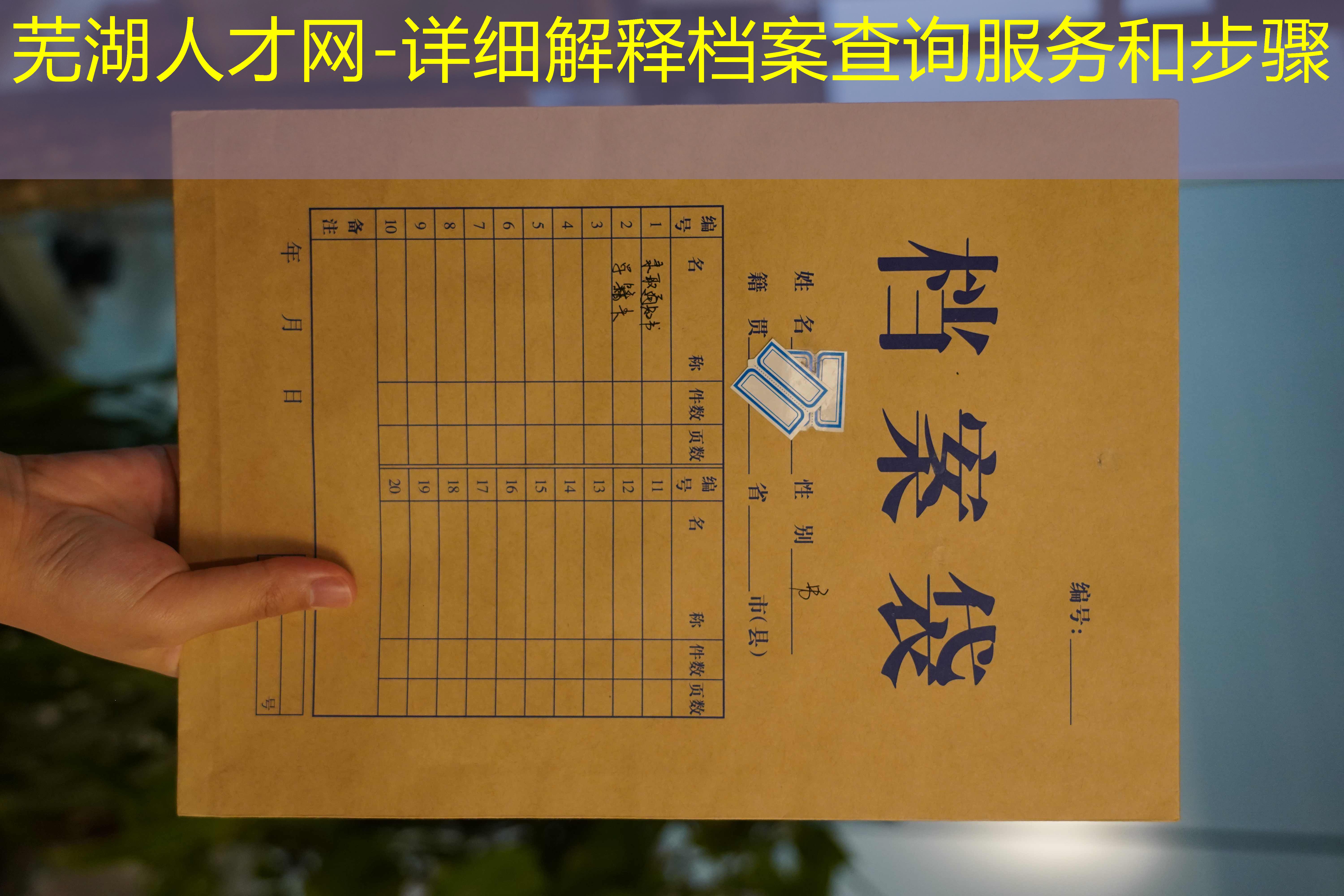 档案查询