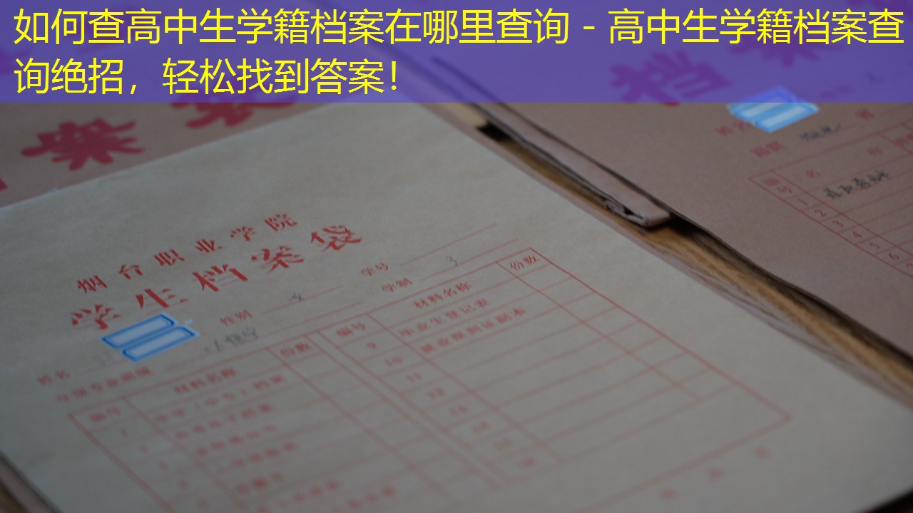 档案查询