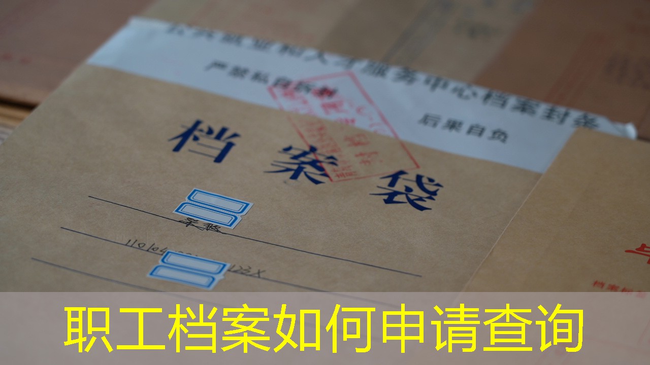 档案查询