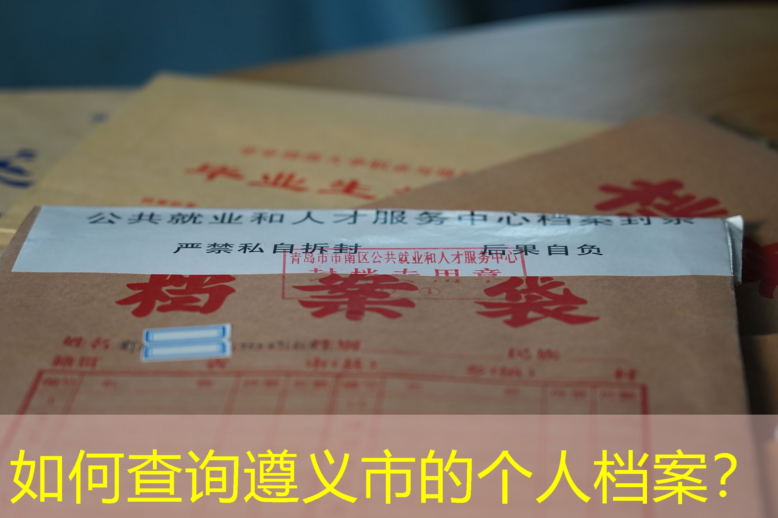 档案查询