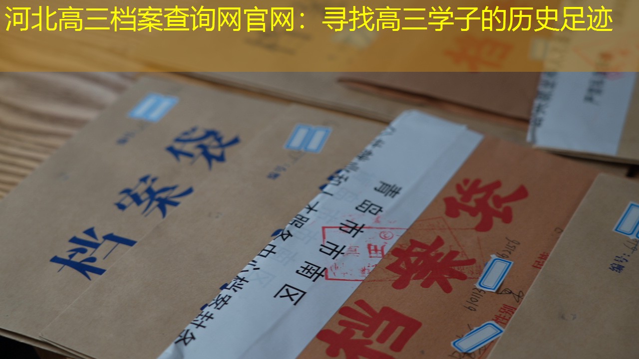 档案查询