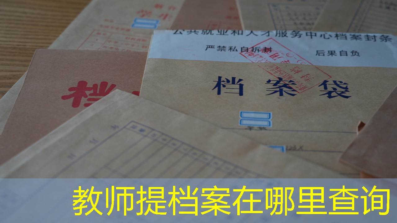 档案查询