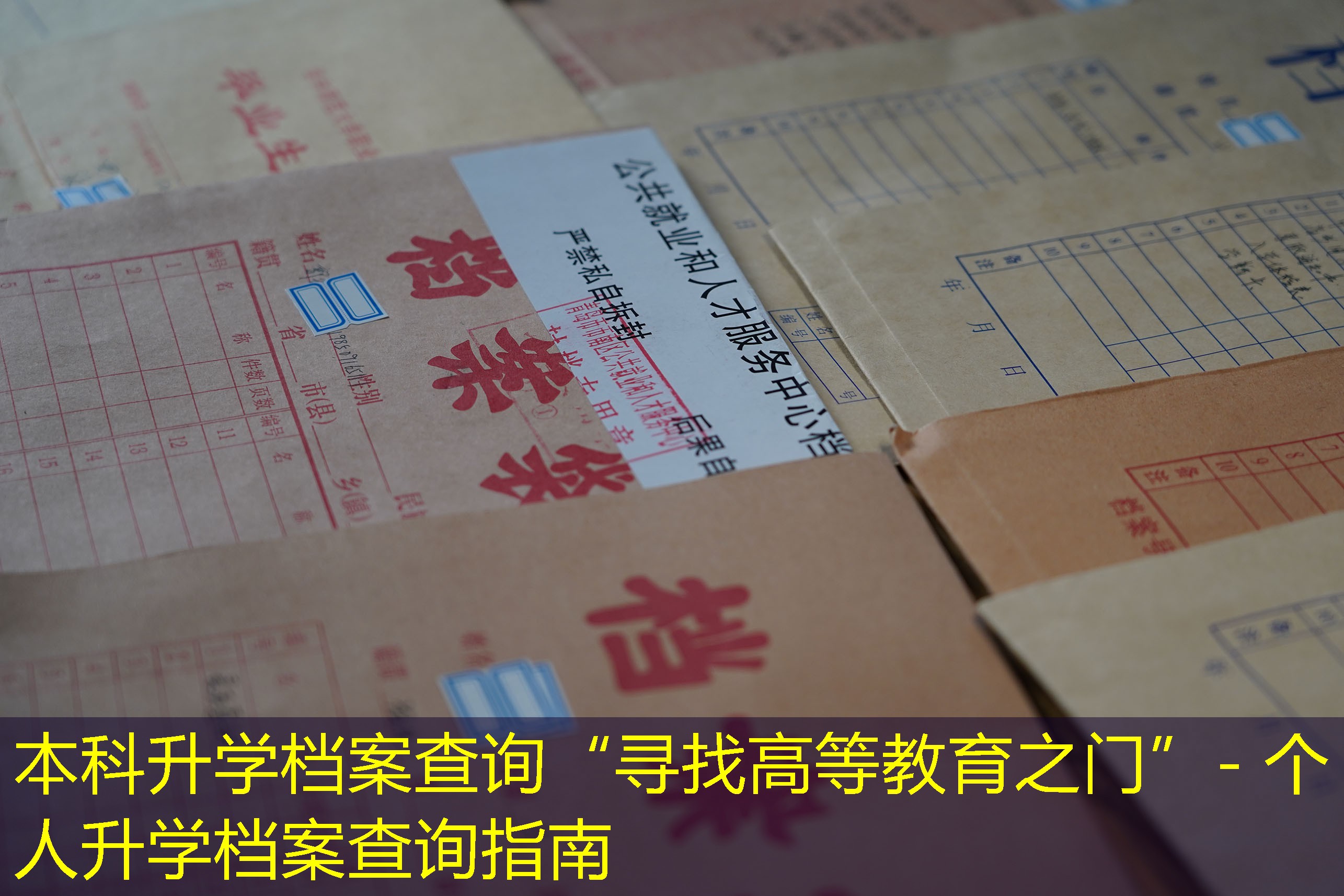 档案查询