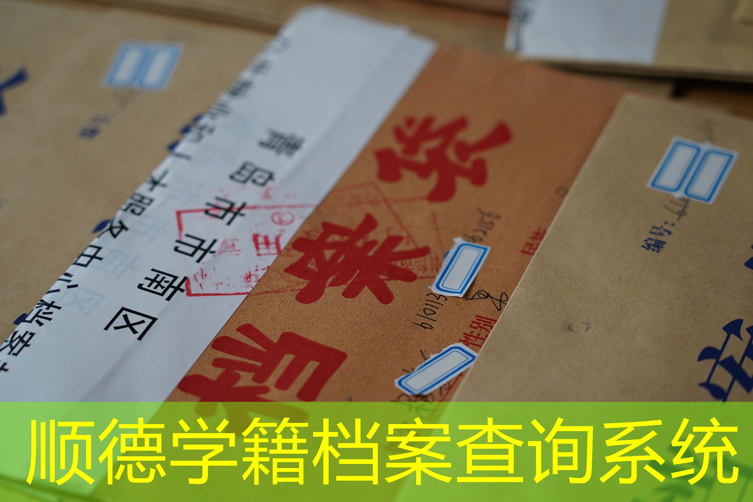档案查询