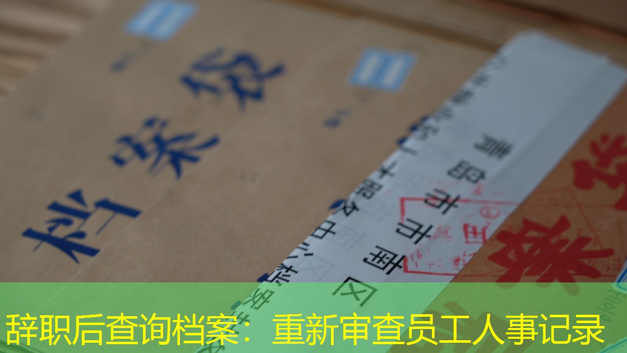 档案查询