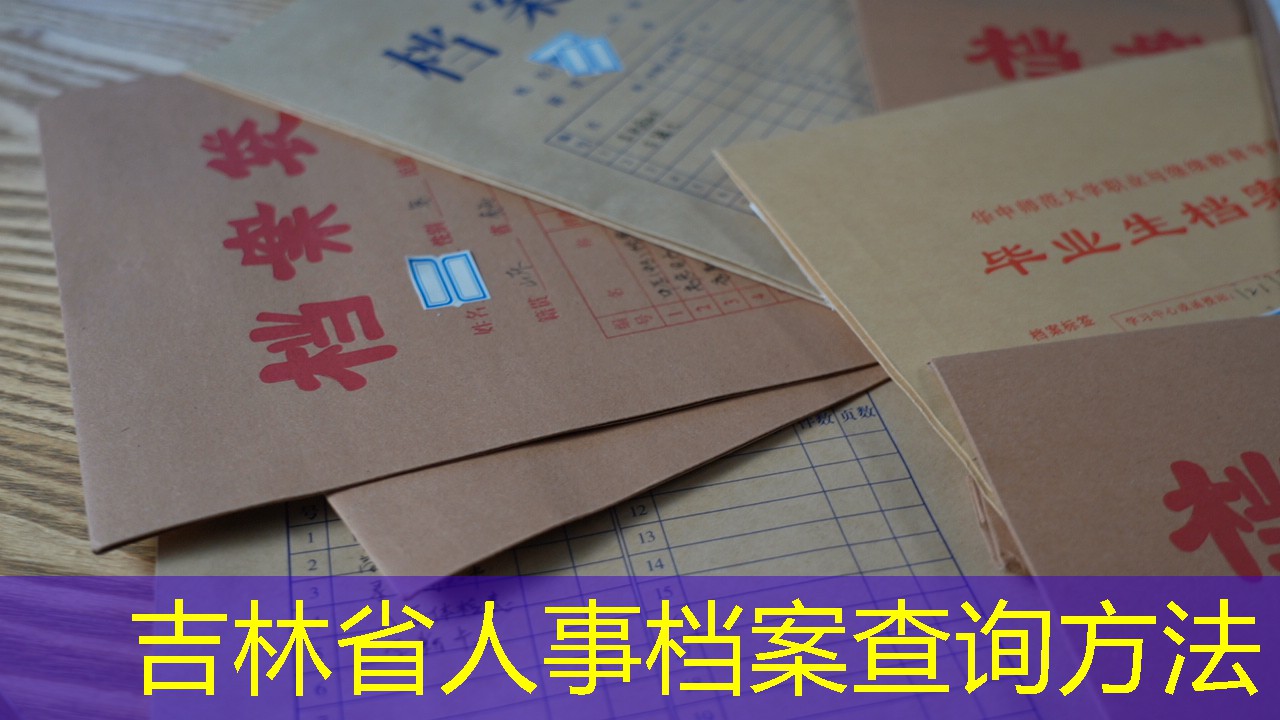 档案查询