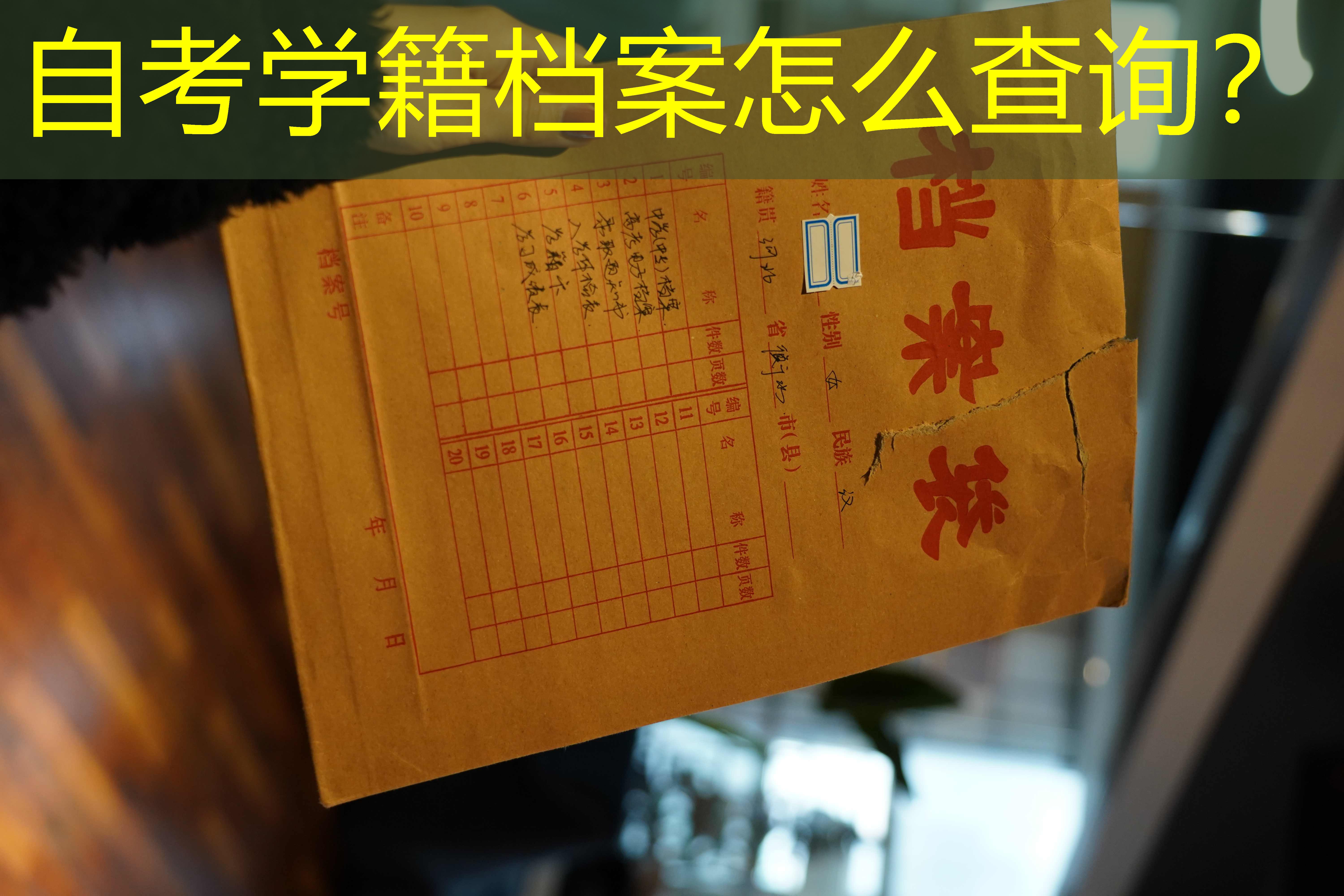 档案查询