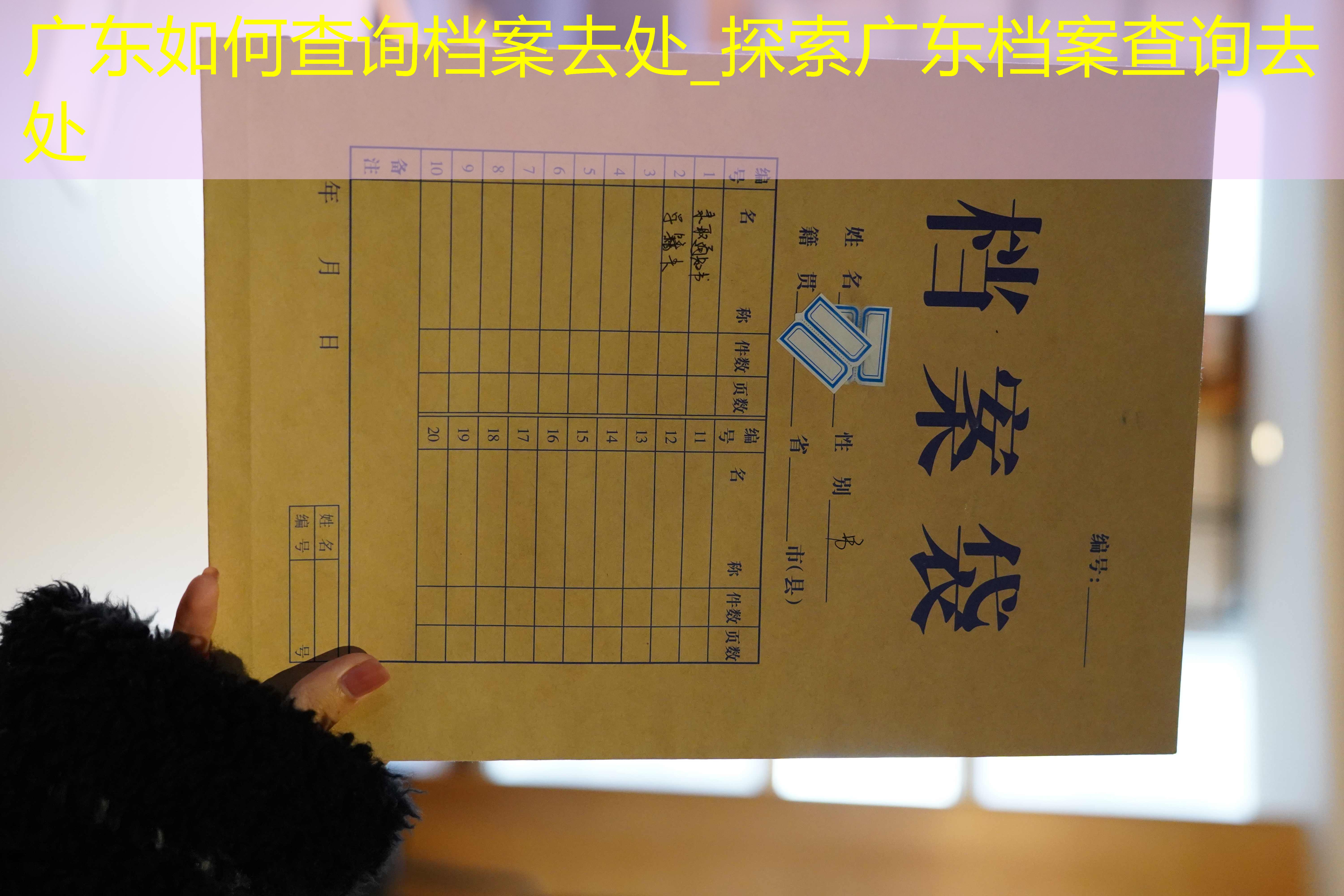 档案查询