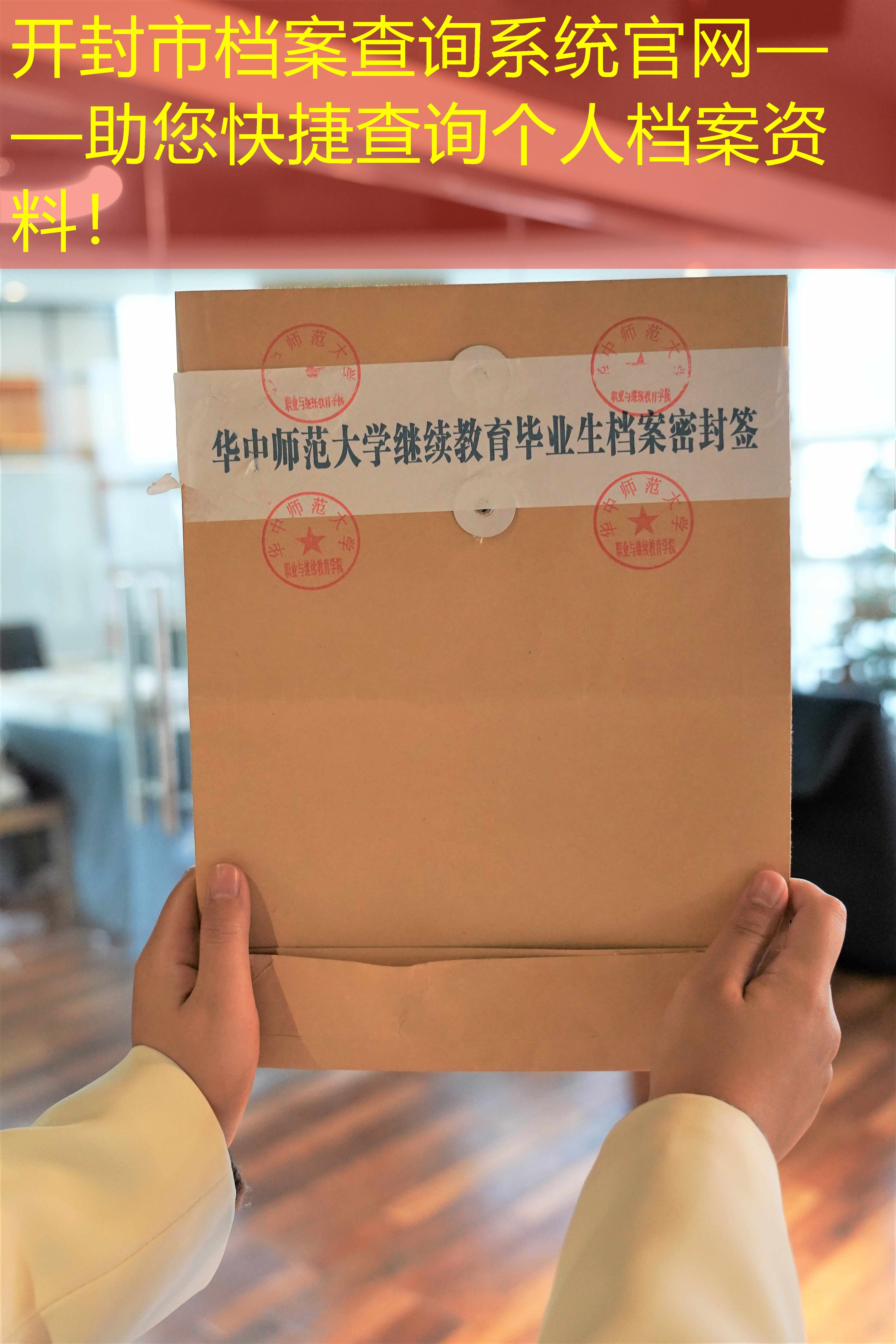 档案查询