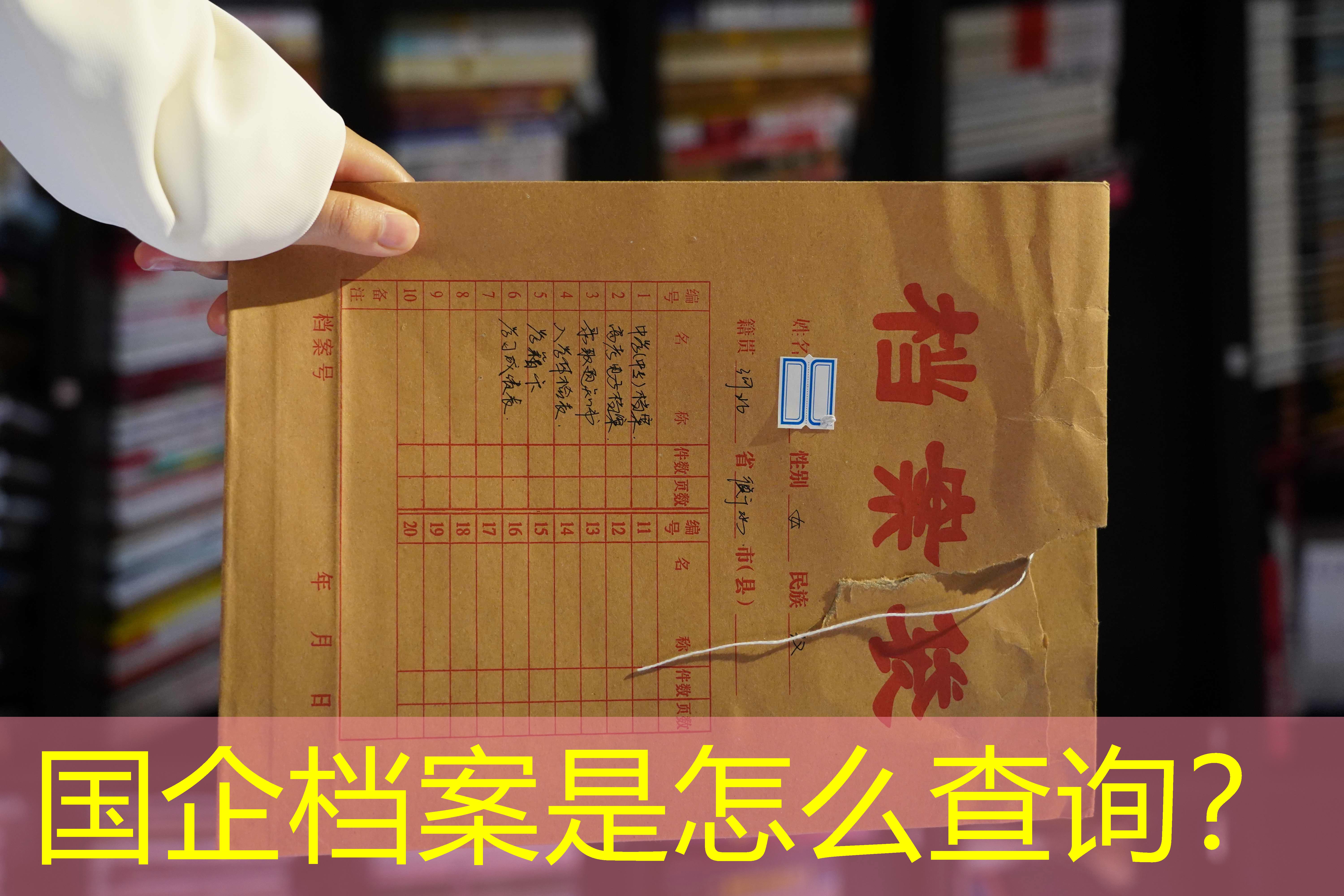 档案查询