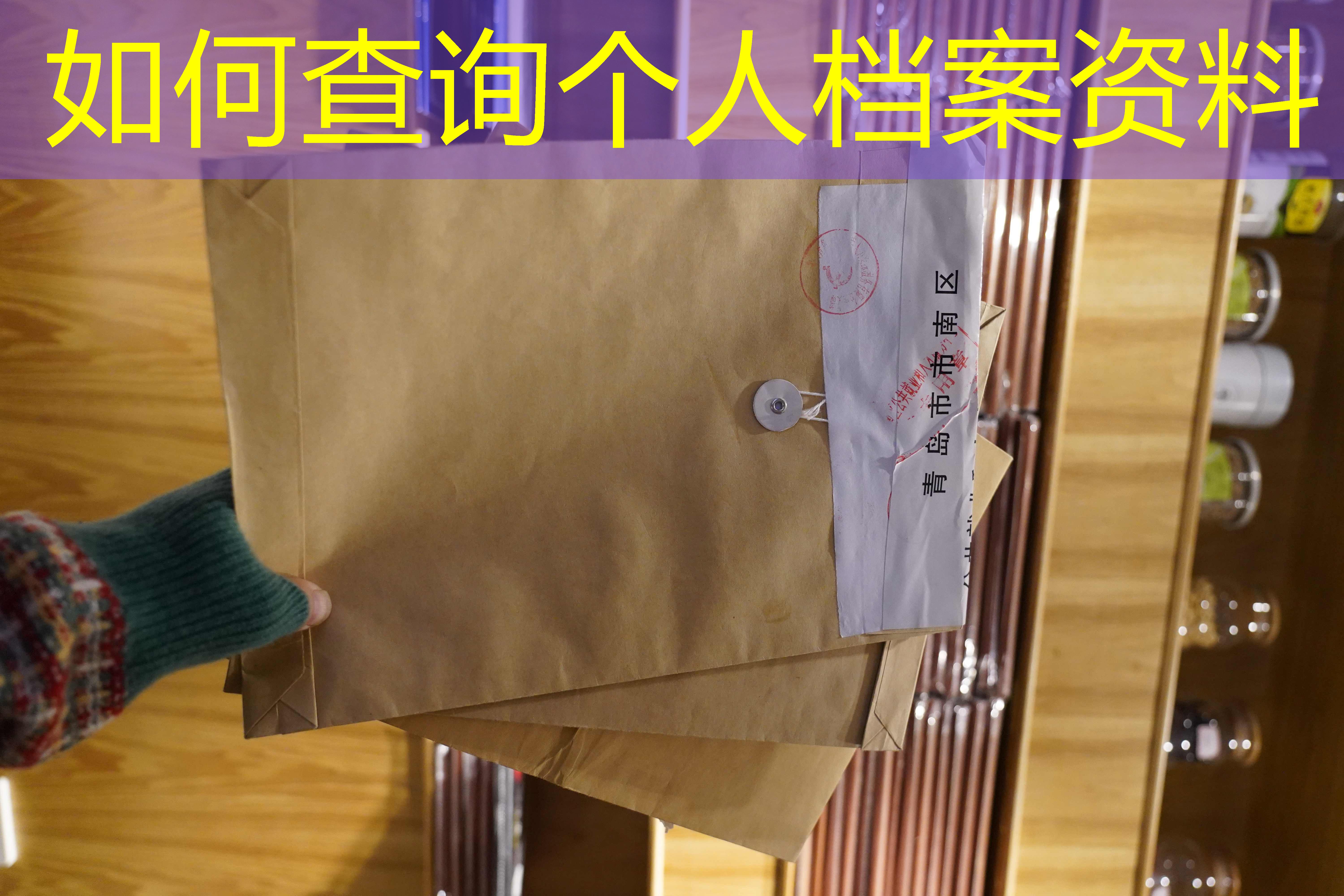 档案查询